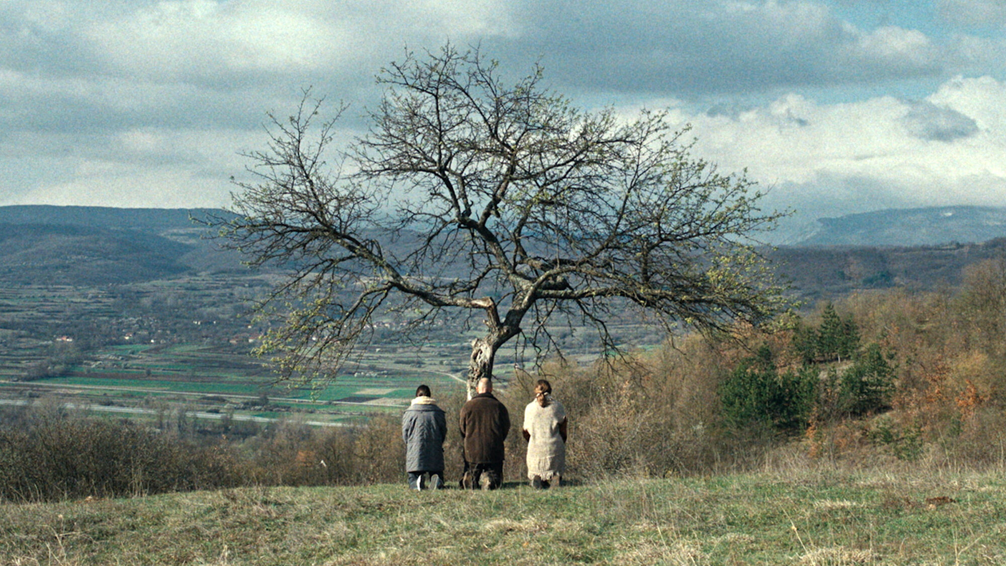 Scene Image 3