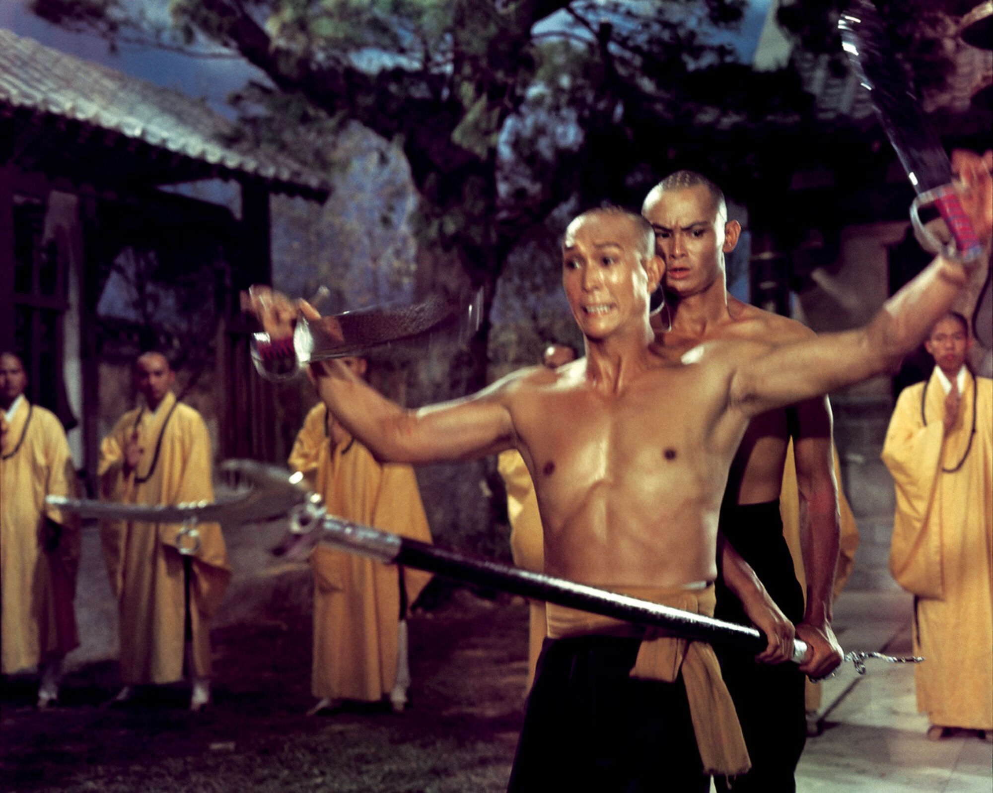 Scene Image 4