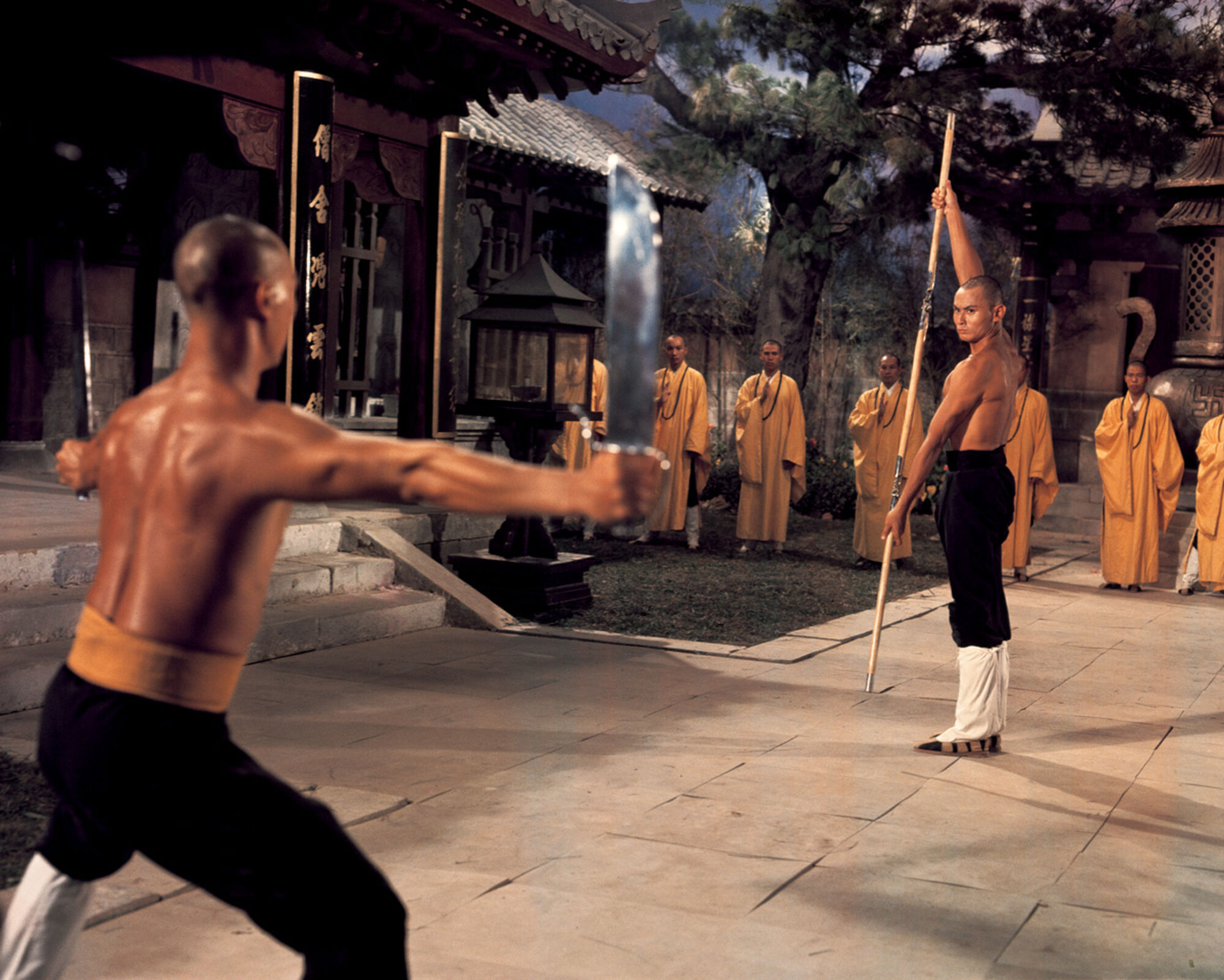 Scene Image 2