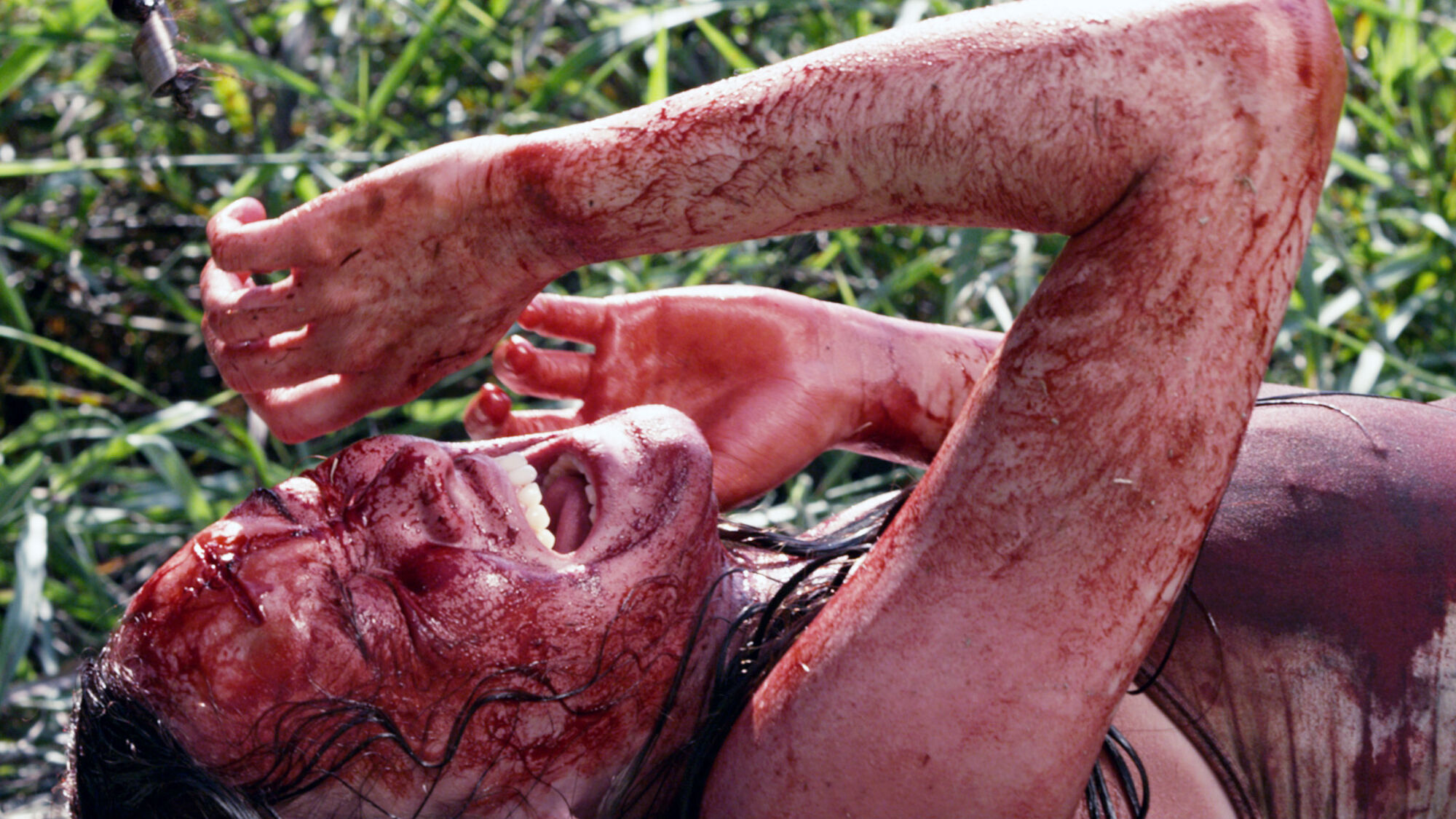 Scene Image 3