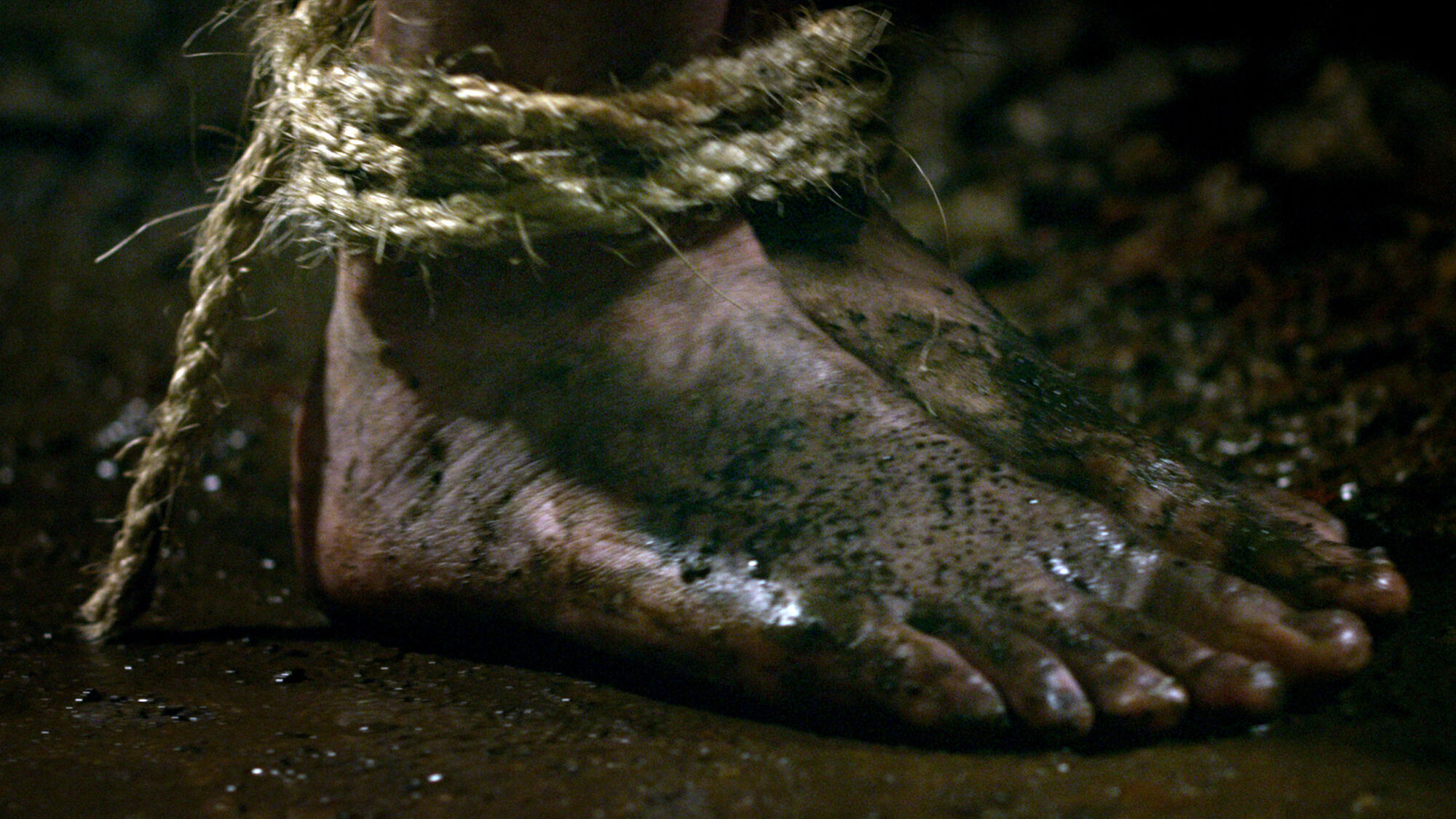 Scene Image 7