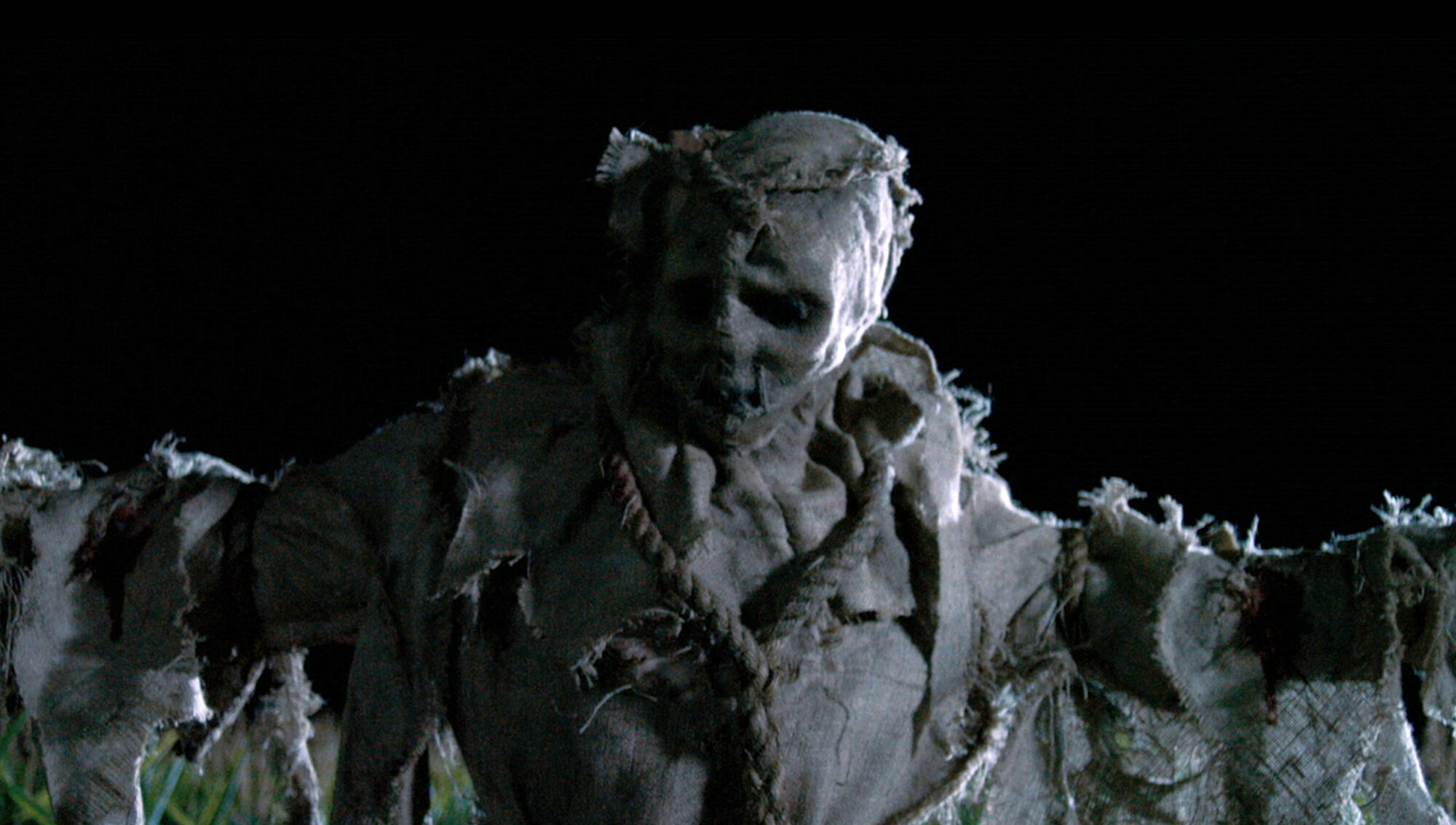 Scene Image 1