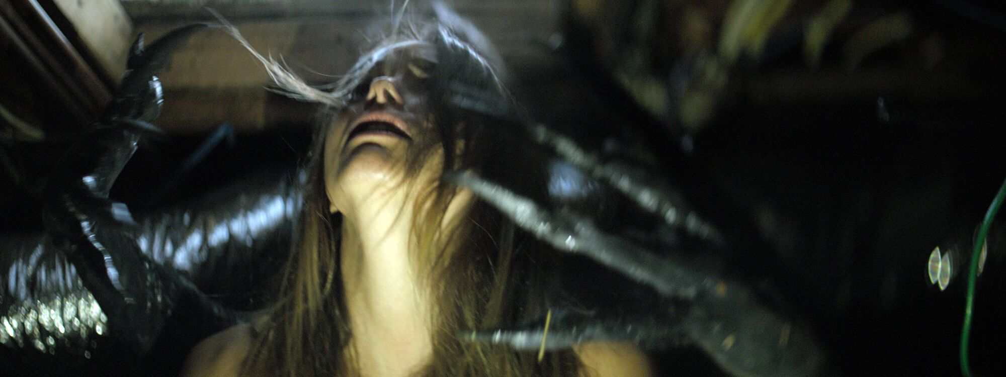 Scene Image 1