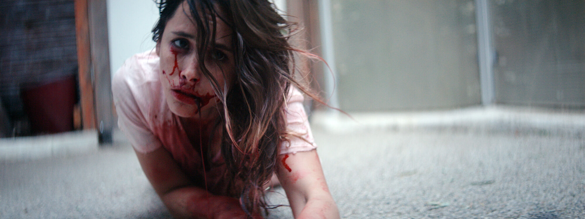 Scene Image 4