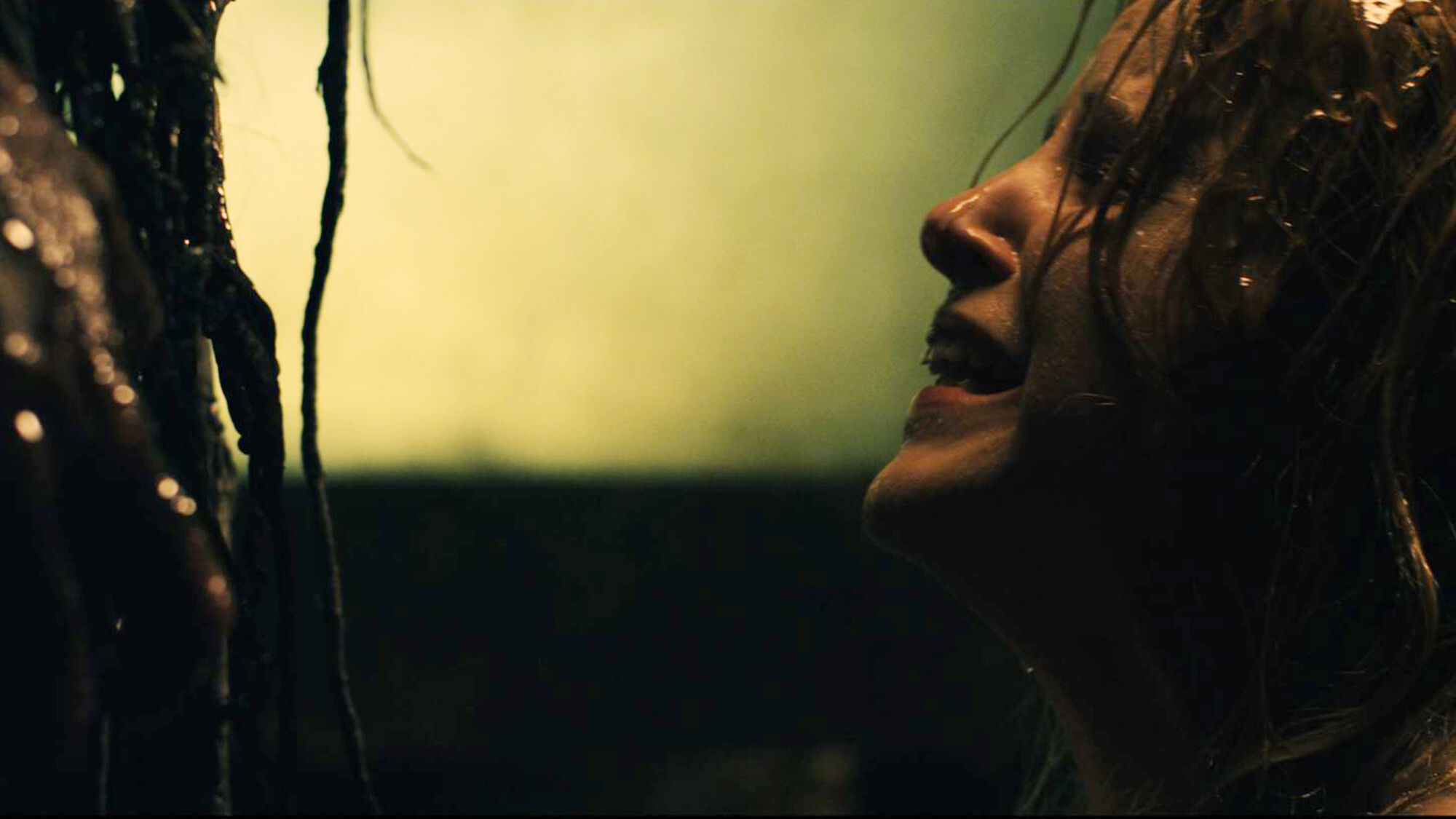 Scene Image 3