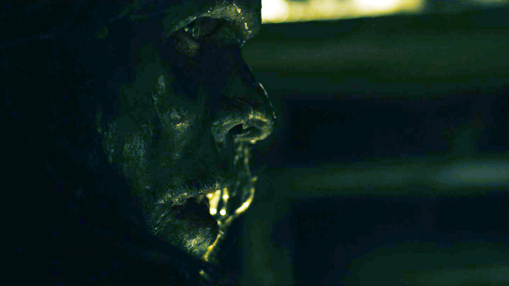 Scene Image 6