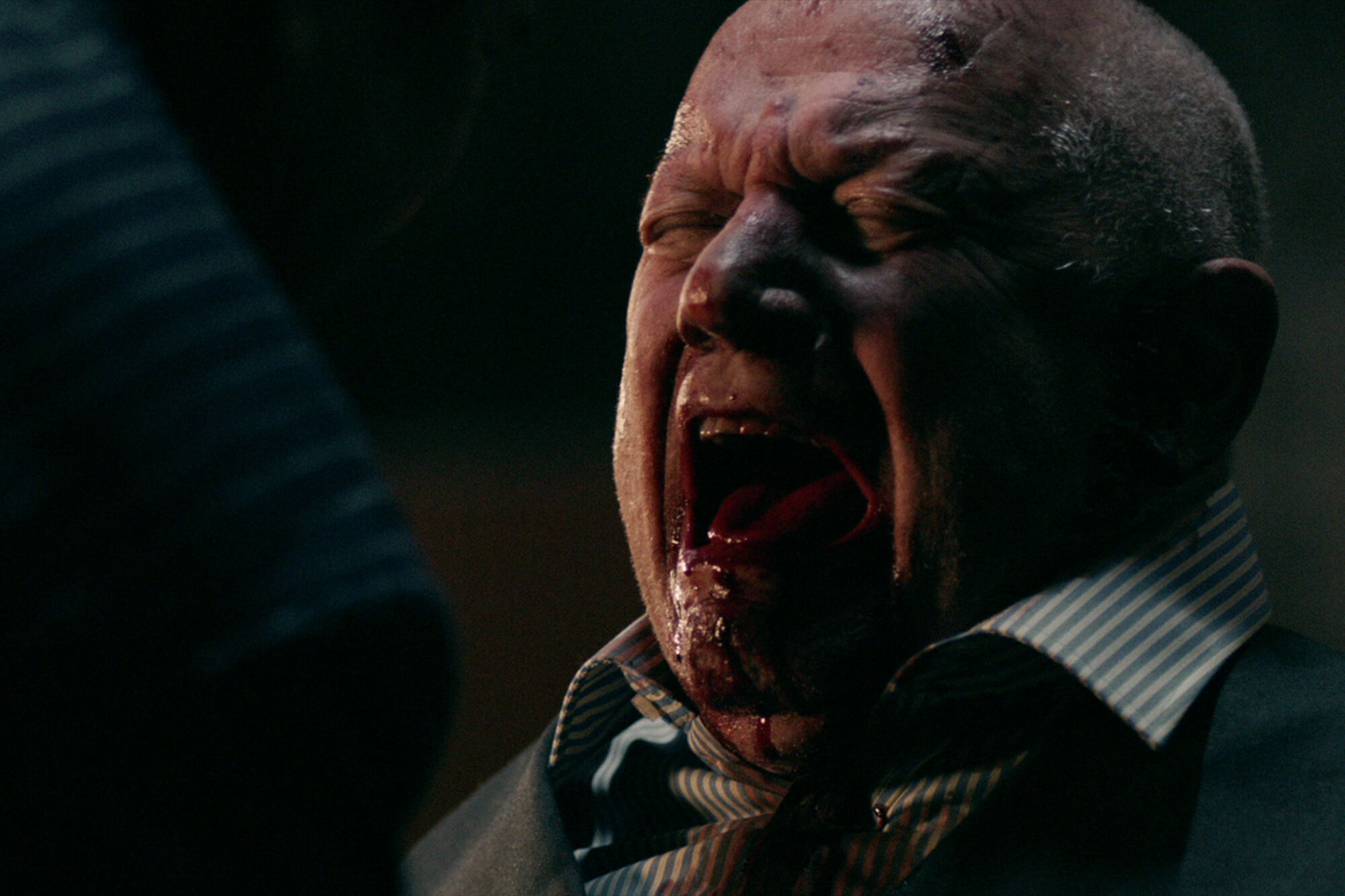 Scene Image 5