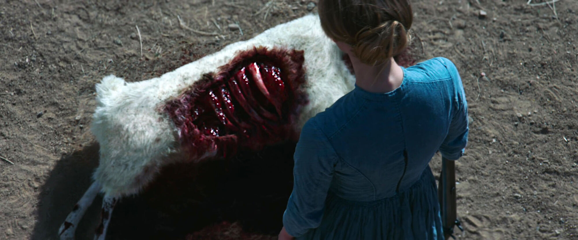 Scene Image 3
