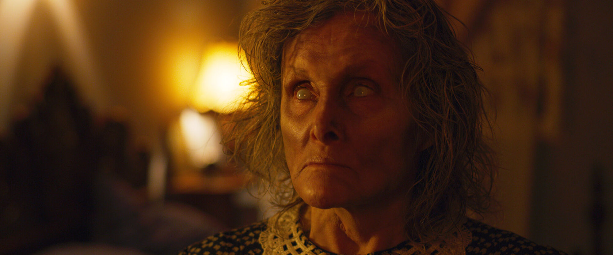 Scene Image 7