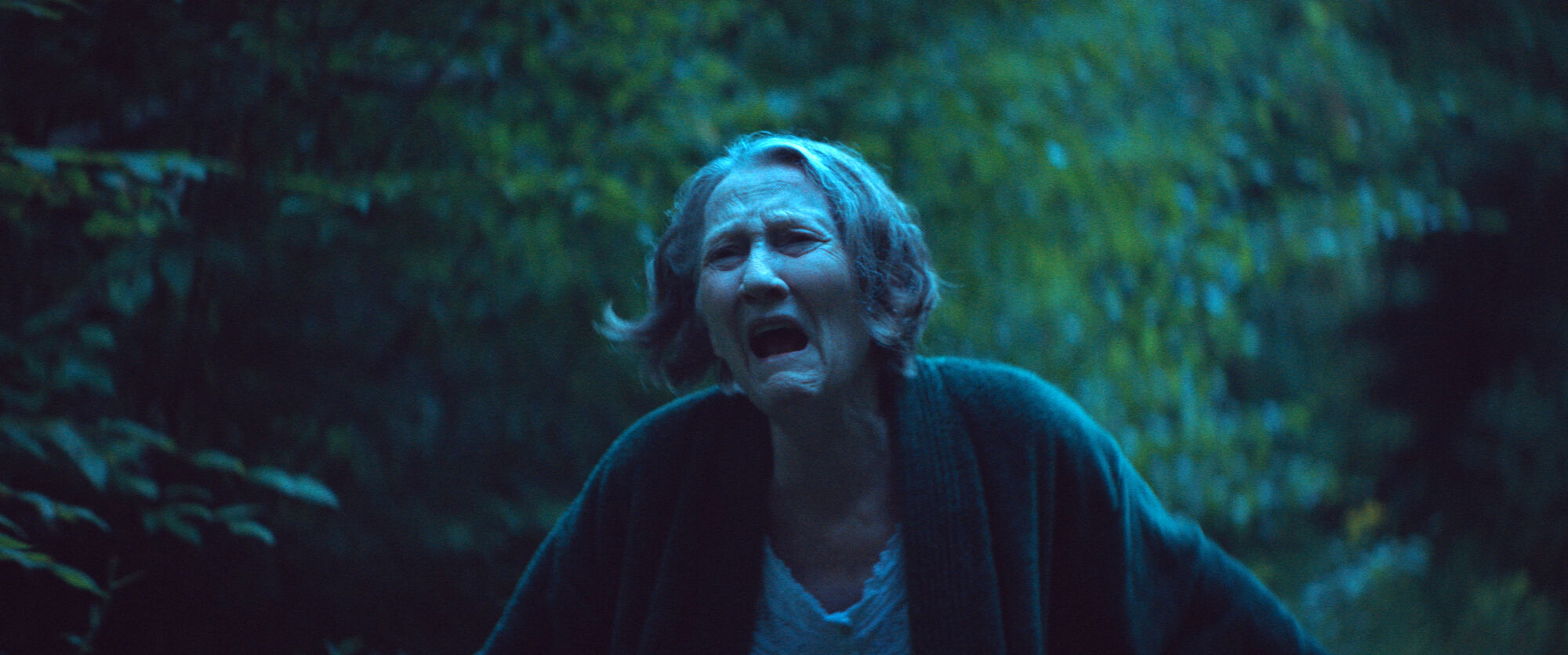 Scene Image 6