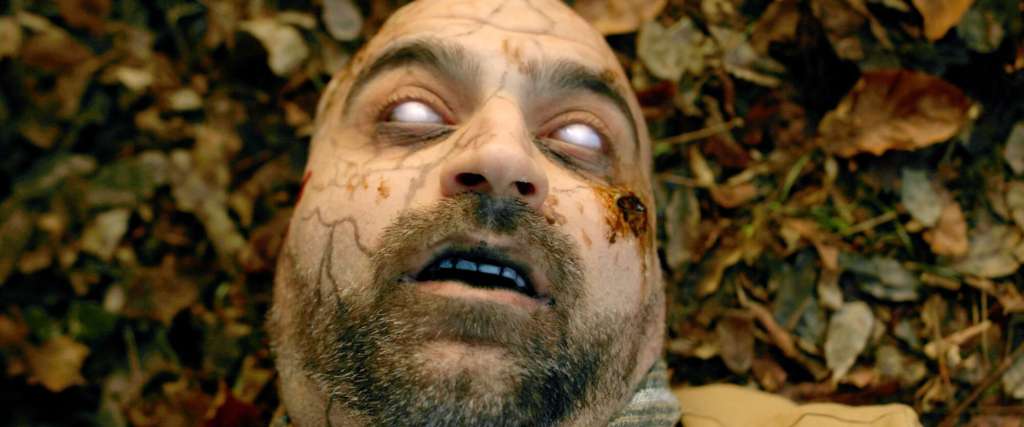 Scene Image 2
