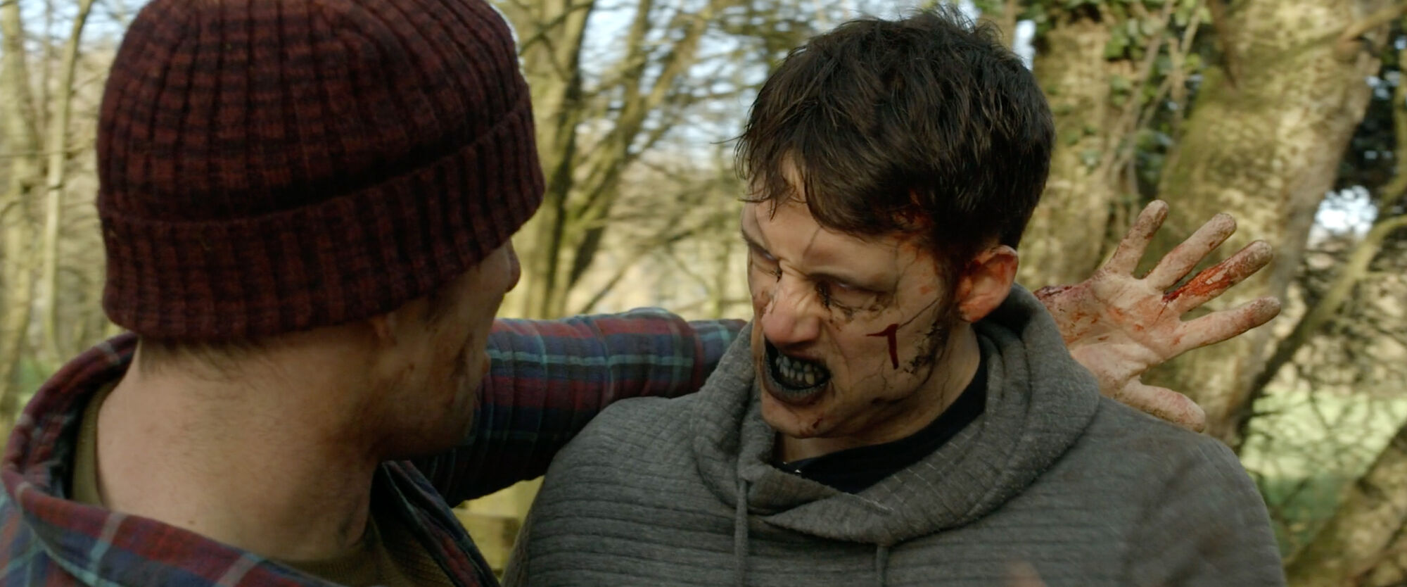 Scene Image 6