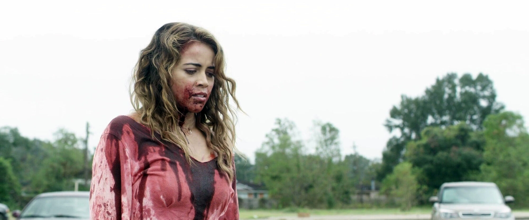 Scene Image 5