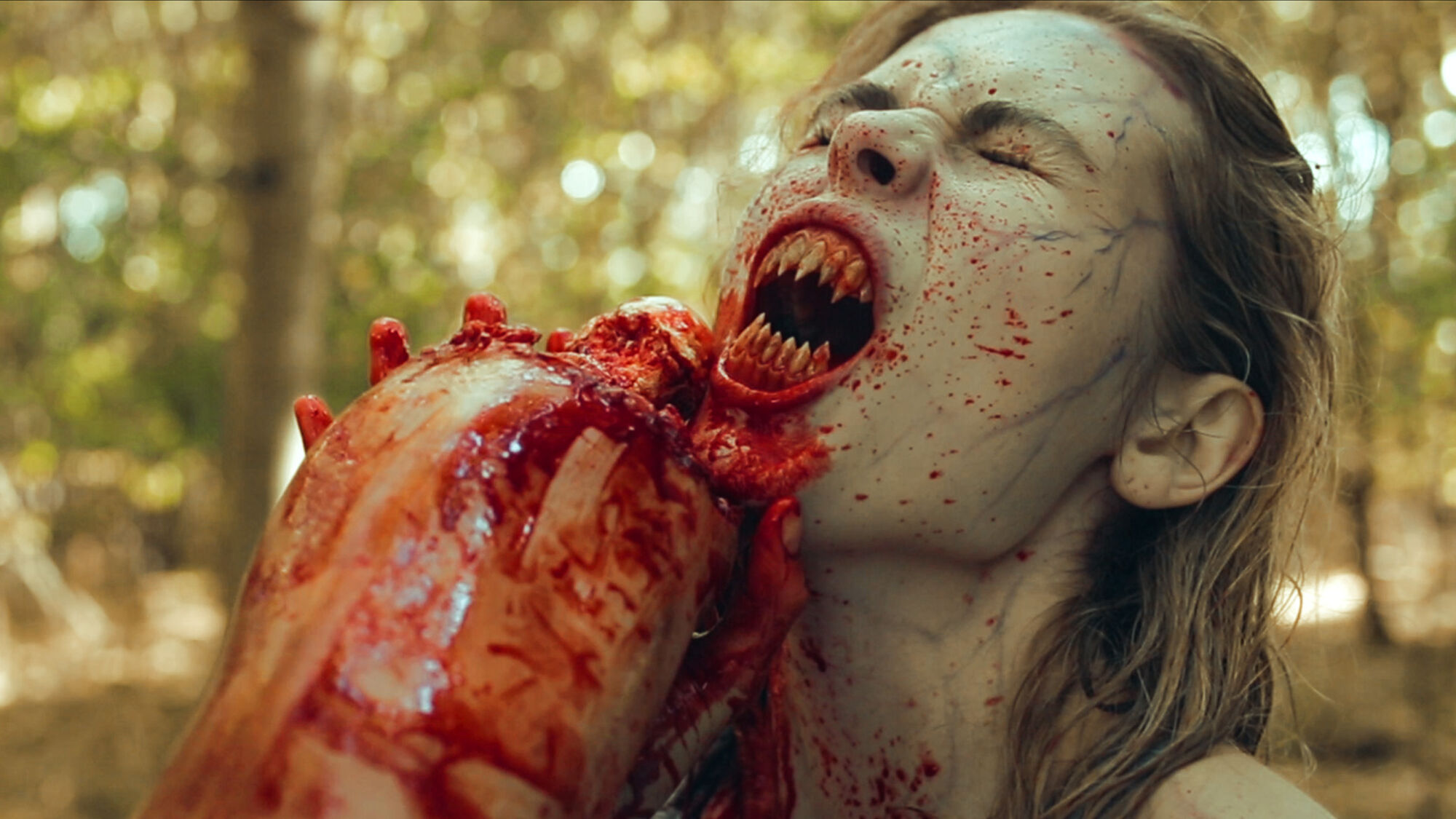 Scene Image 2