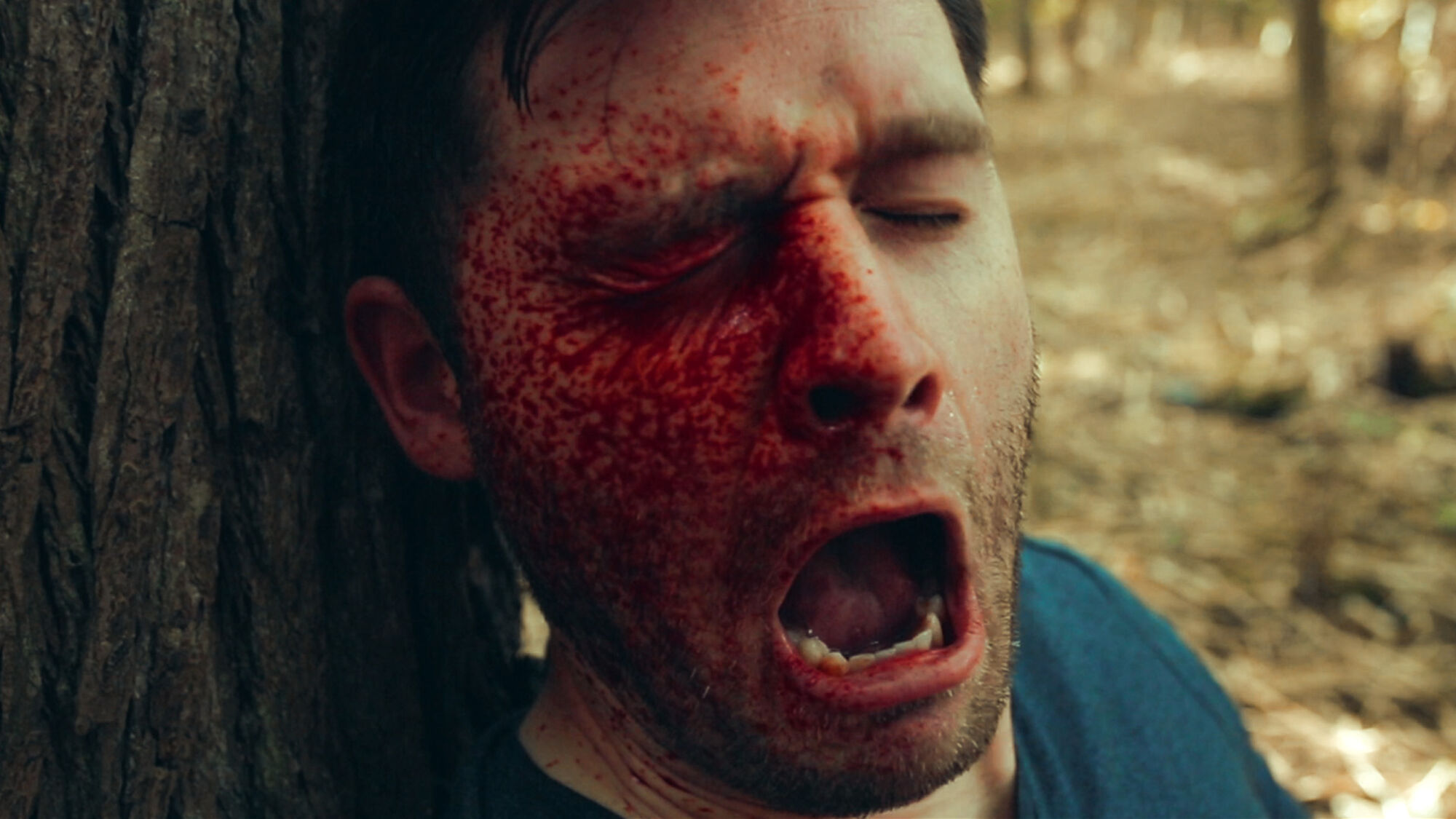 Scene Image 4