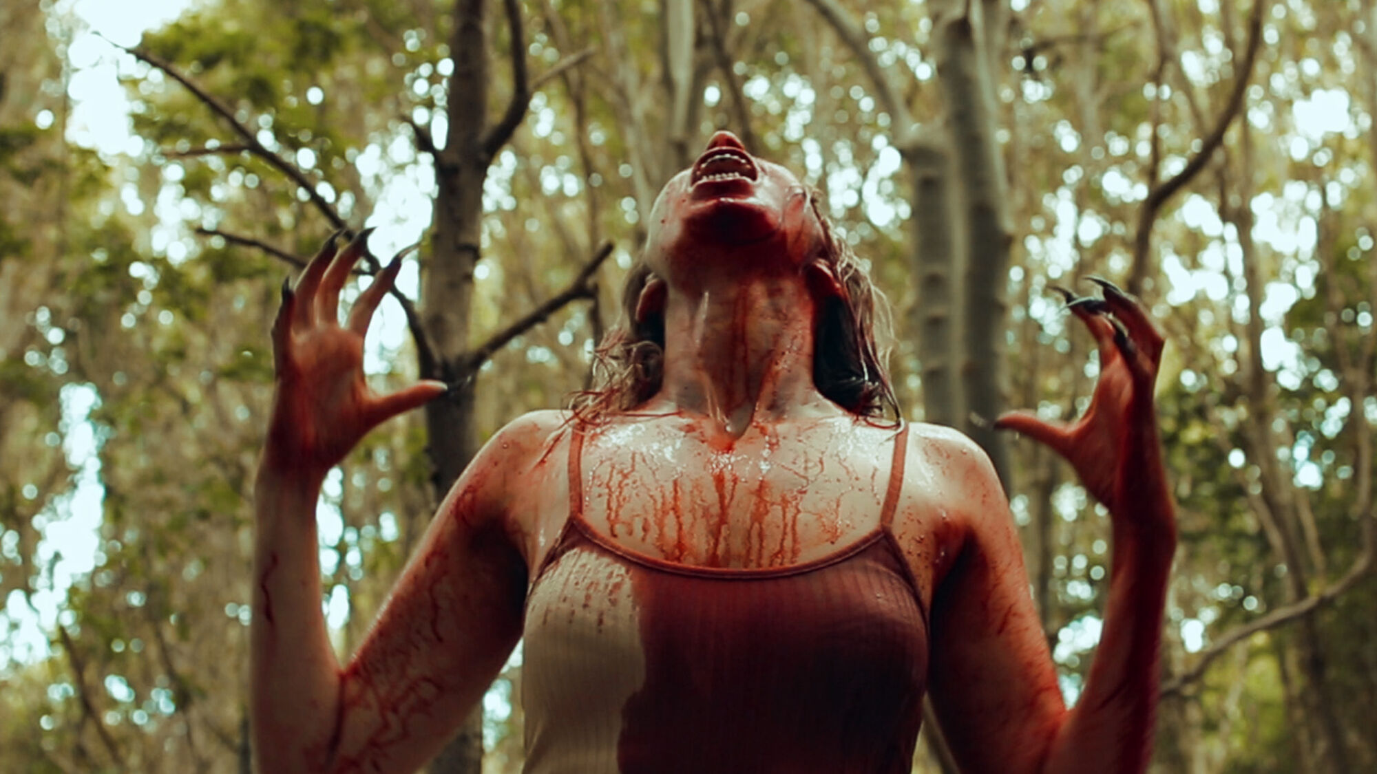 Scene Image 7