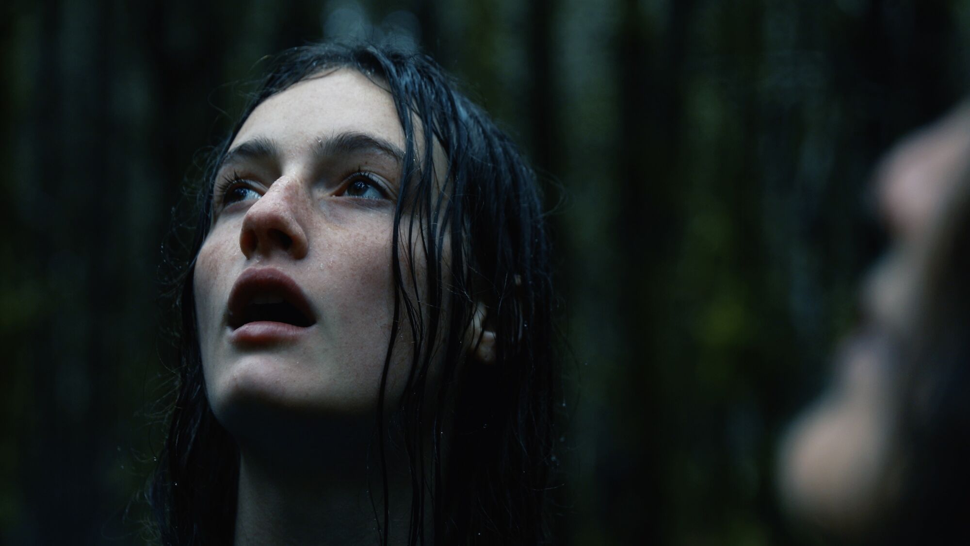 Scene Image 2