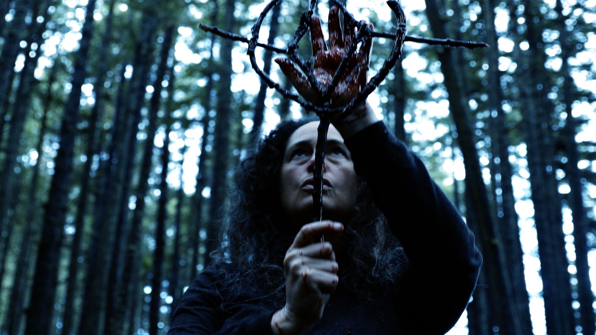 Scene Image 7