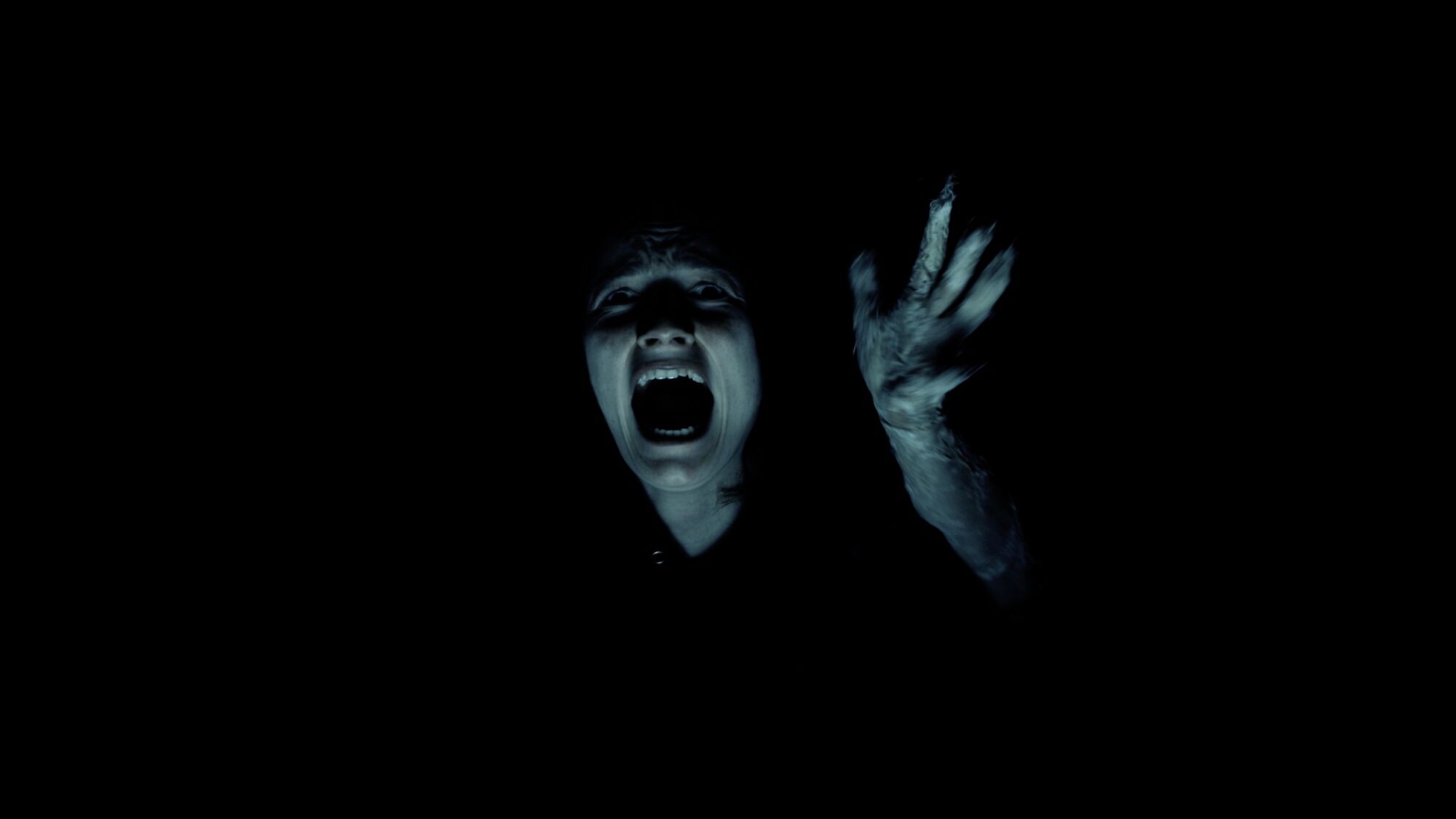 Scene Image 8