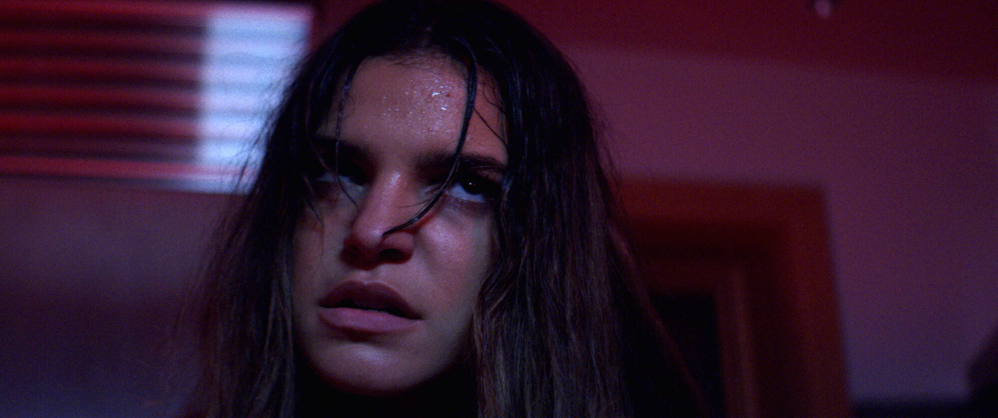 Scene Image 5