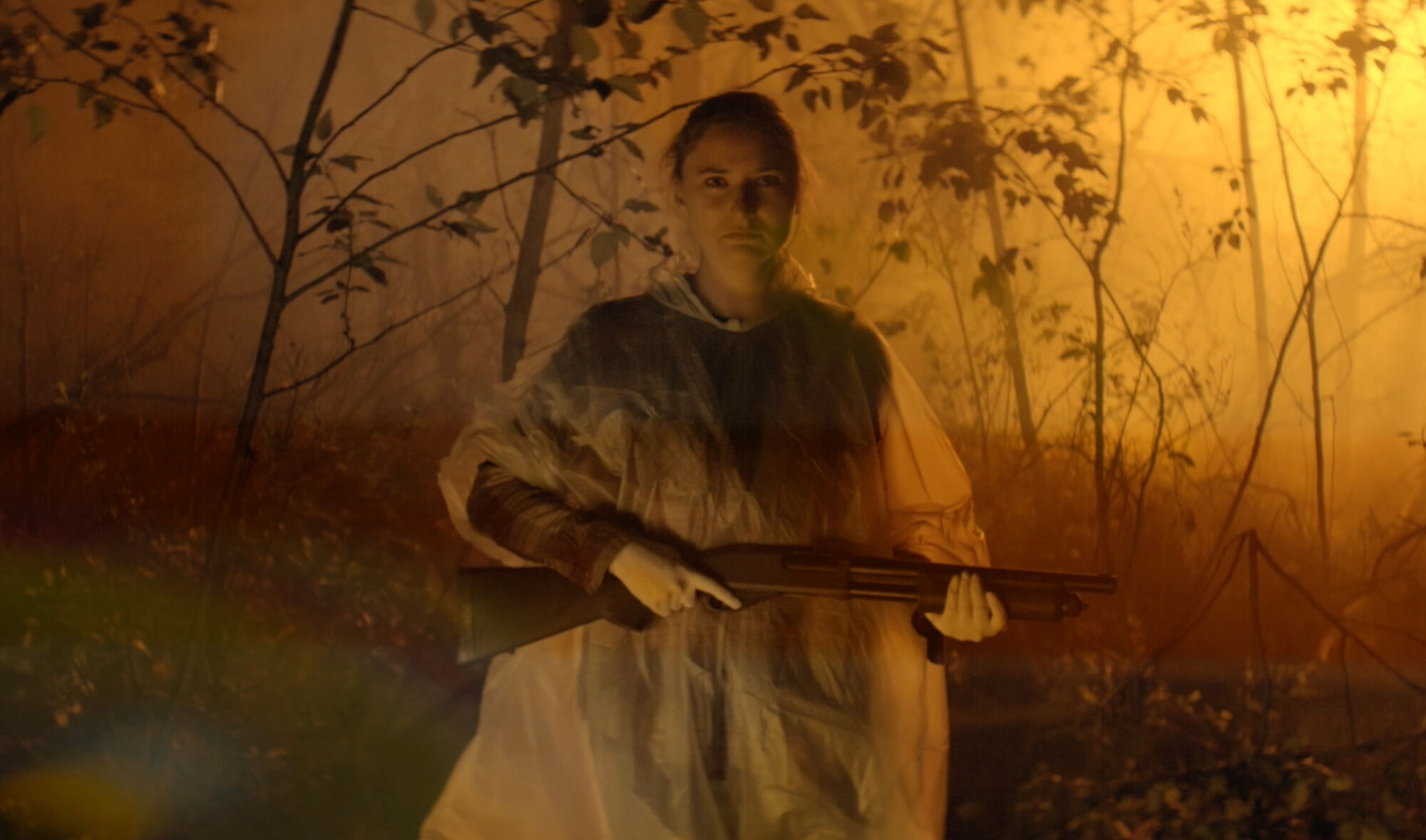 Scene Image 6