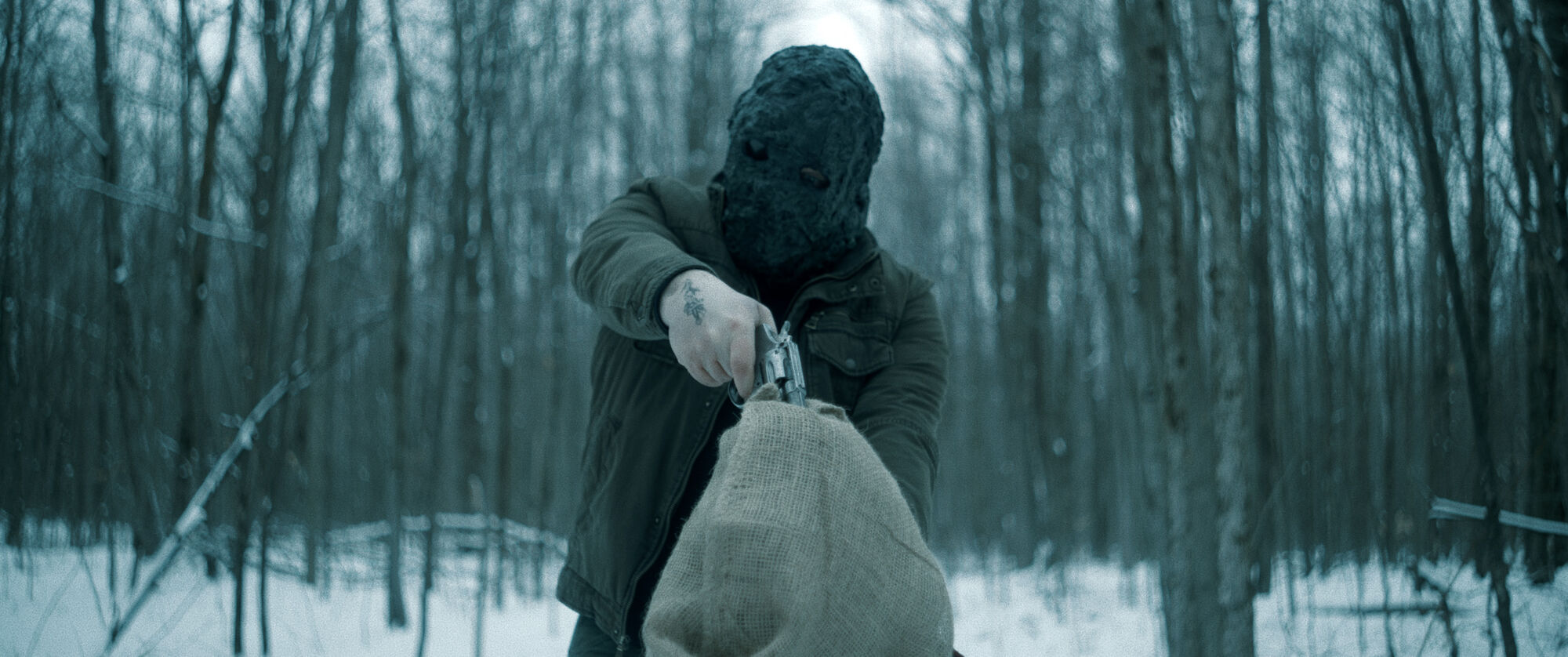 Scene Image 1