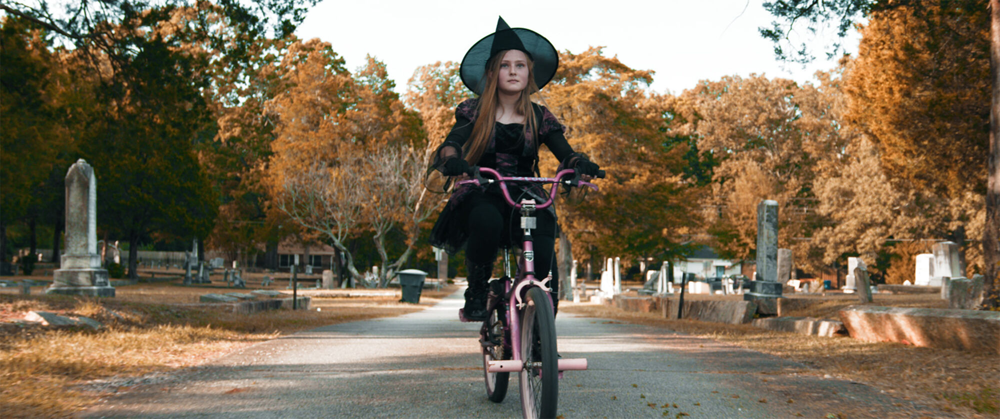 Scene Image 5