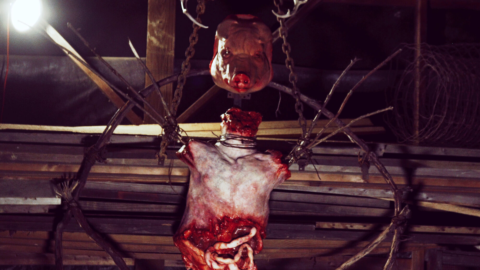 Scene Image 1