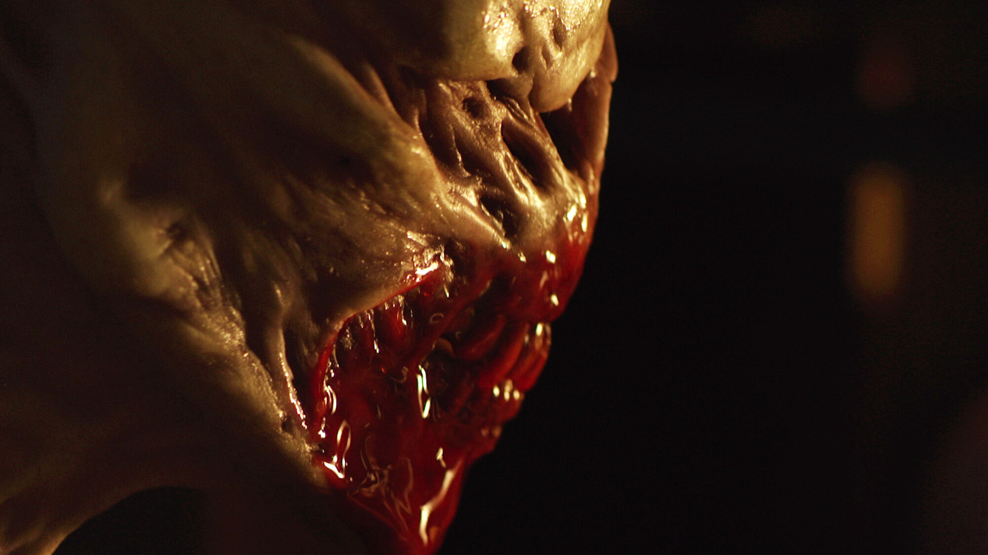 Scene Image 5