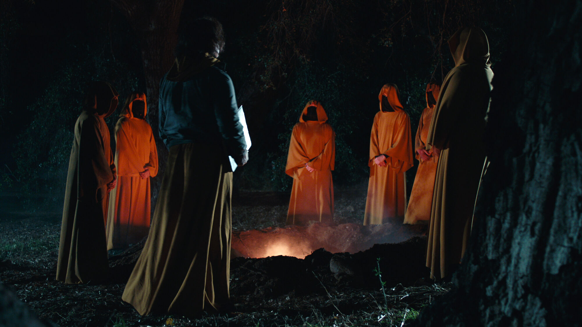 Scene Image 8
