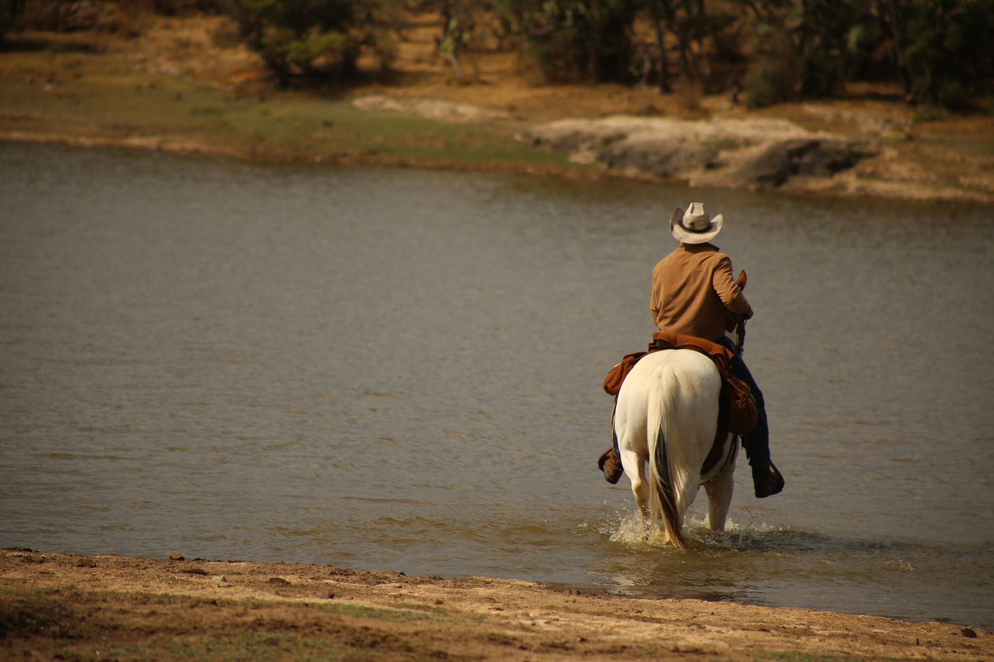 Scene Image 1