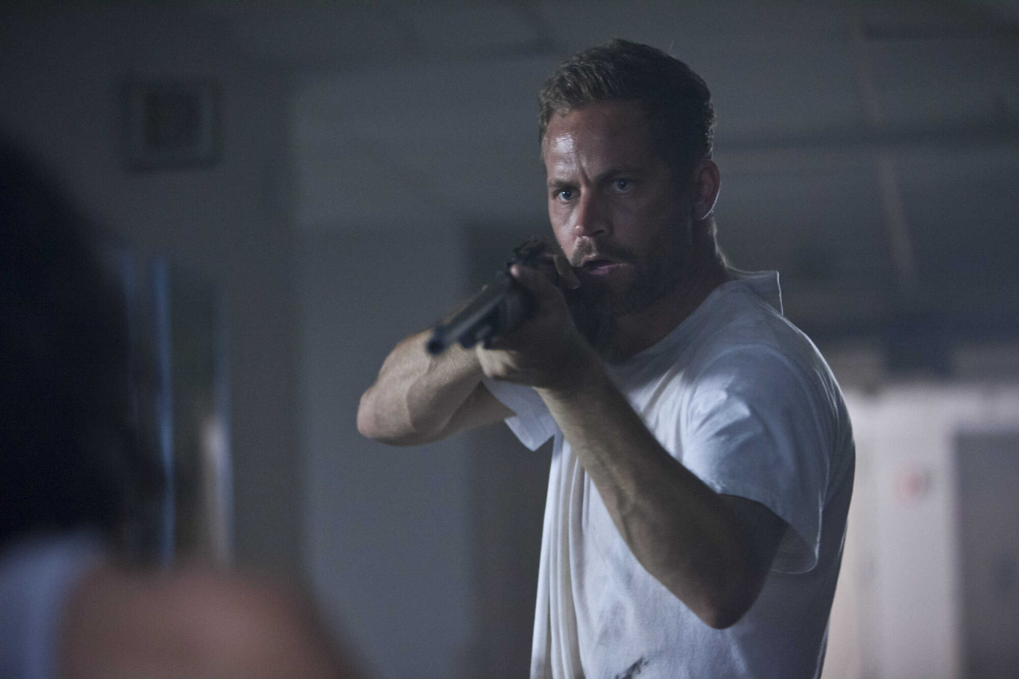 Scene Image 15