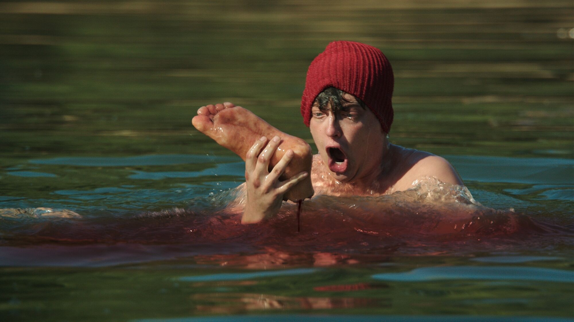 Scene Image 2