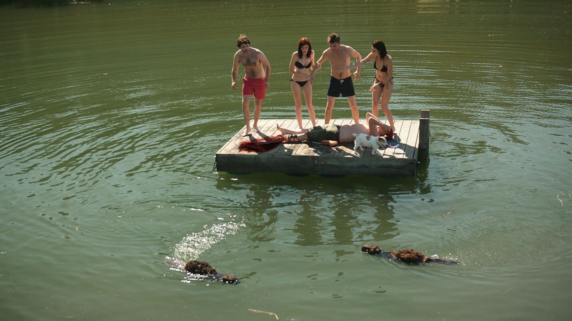 Scene Image 3