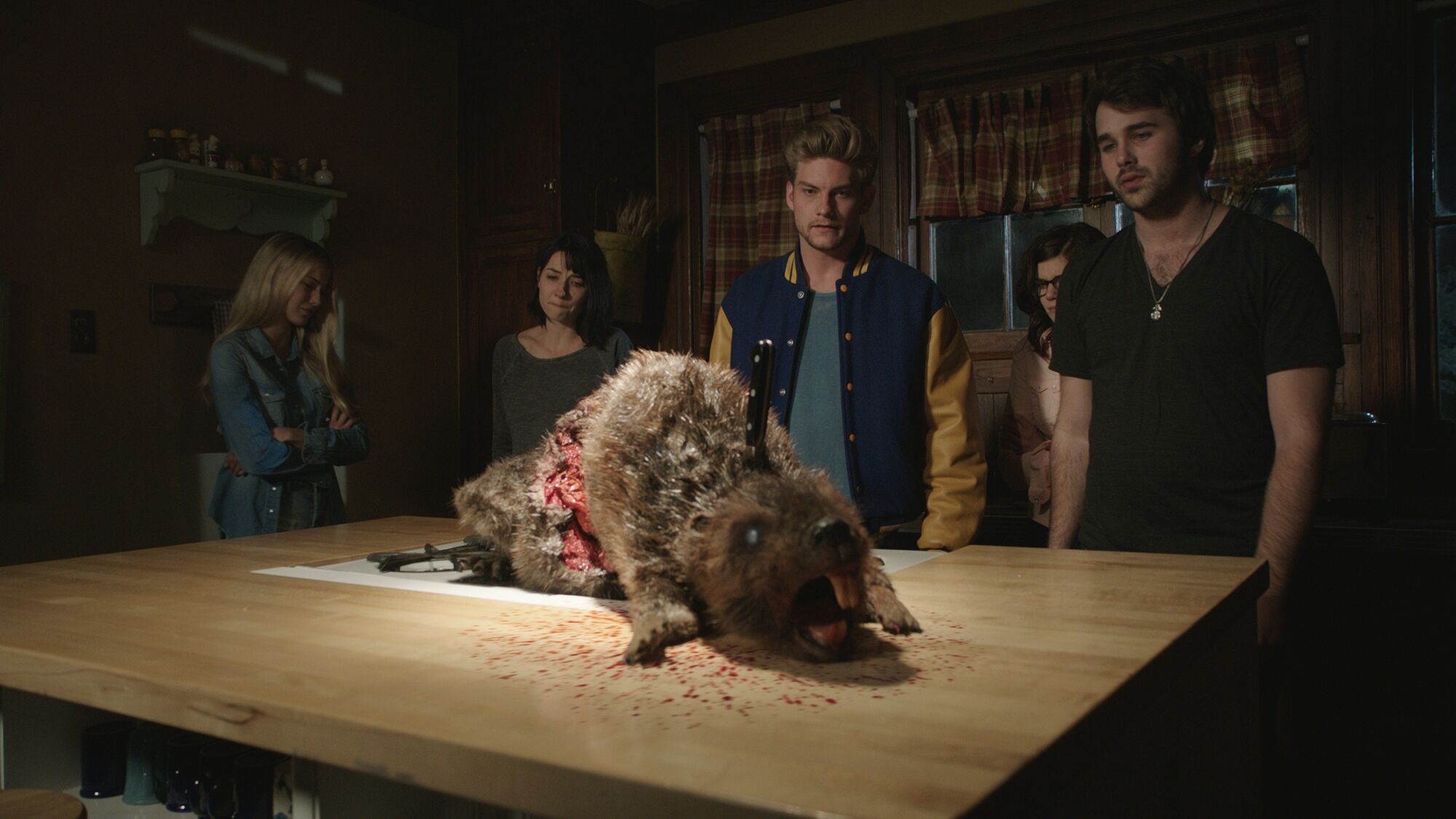 Scene Image 5