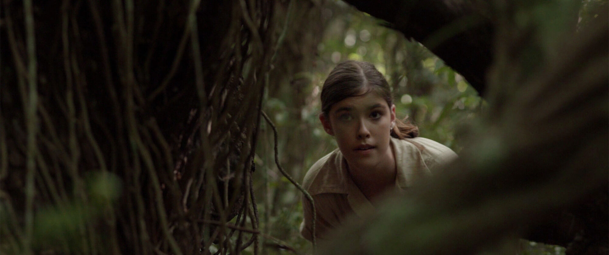 Scene Image 2