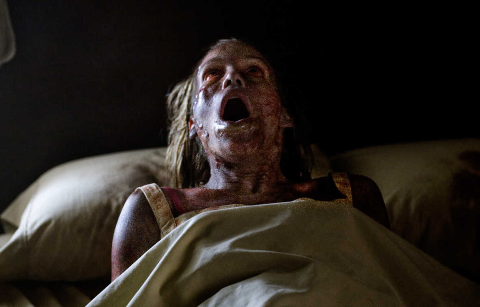 Scene Image 5