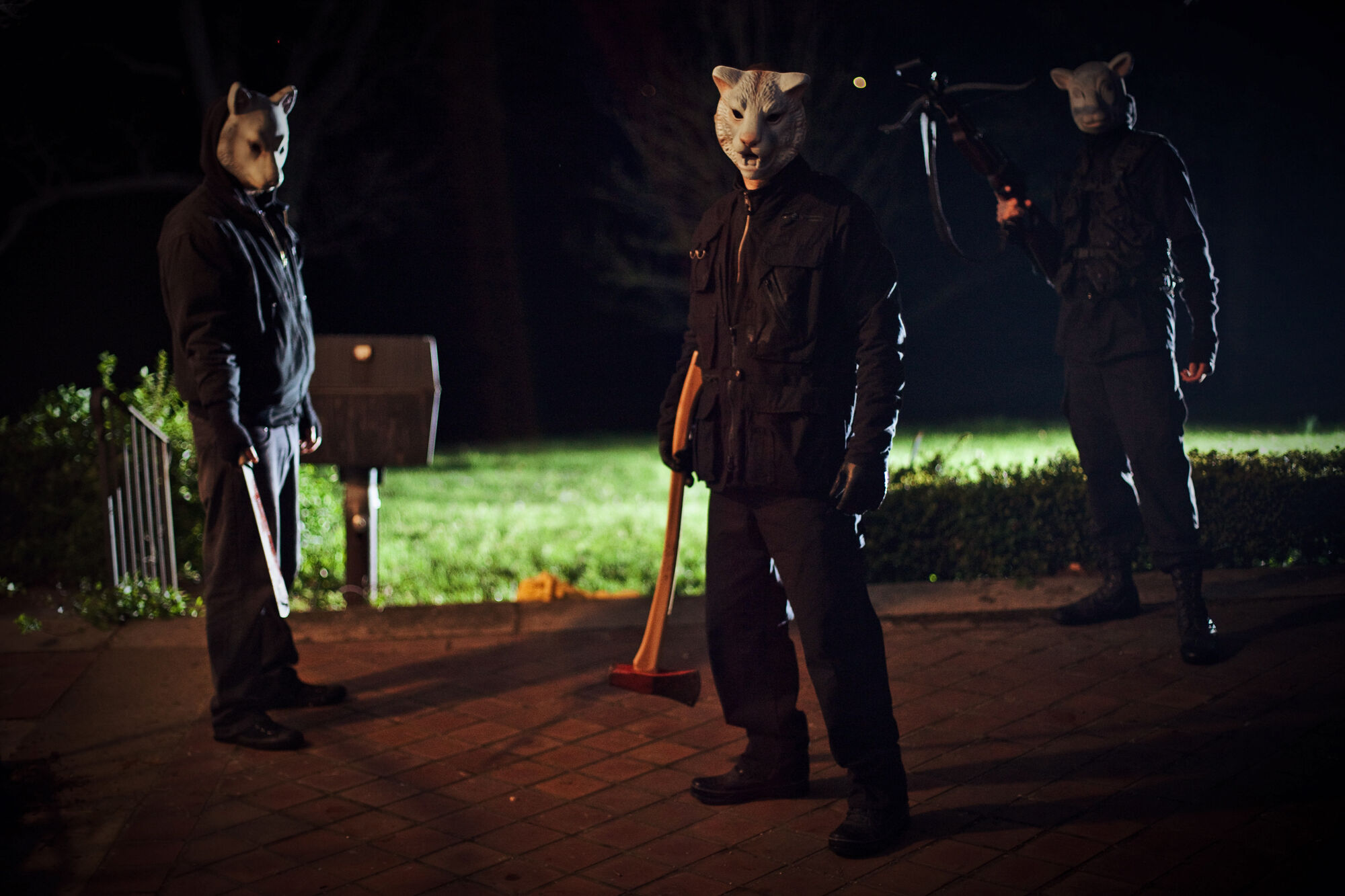 Scene Image 2