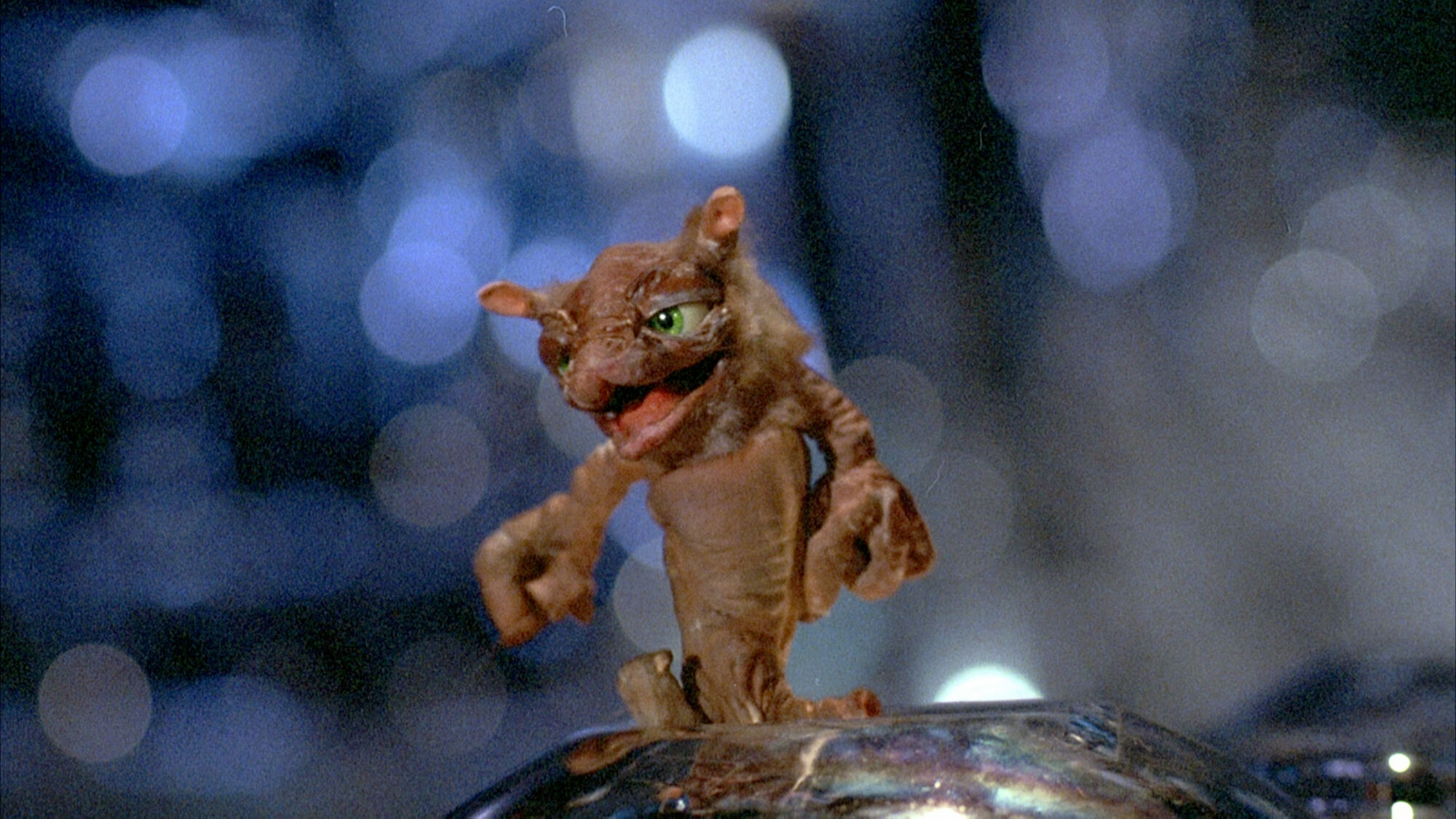 Scene Image 4