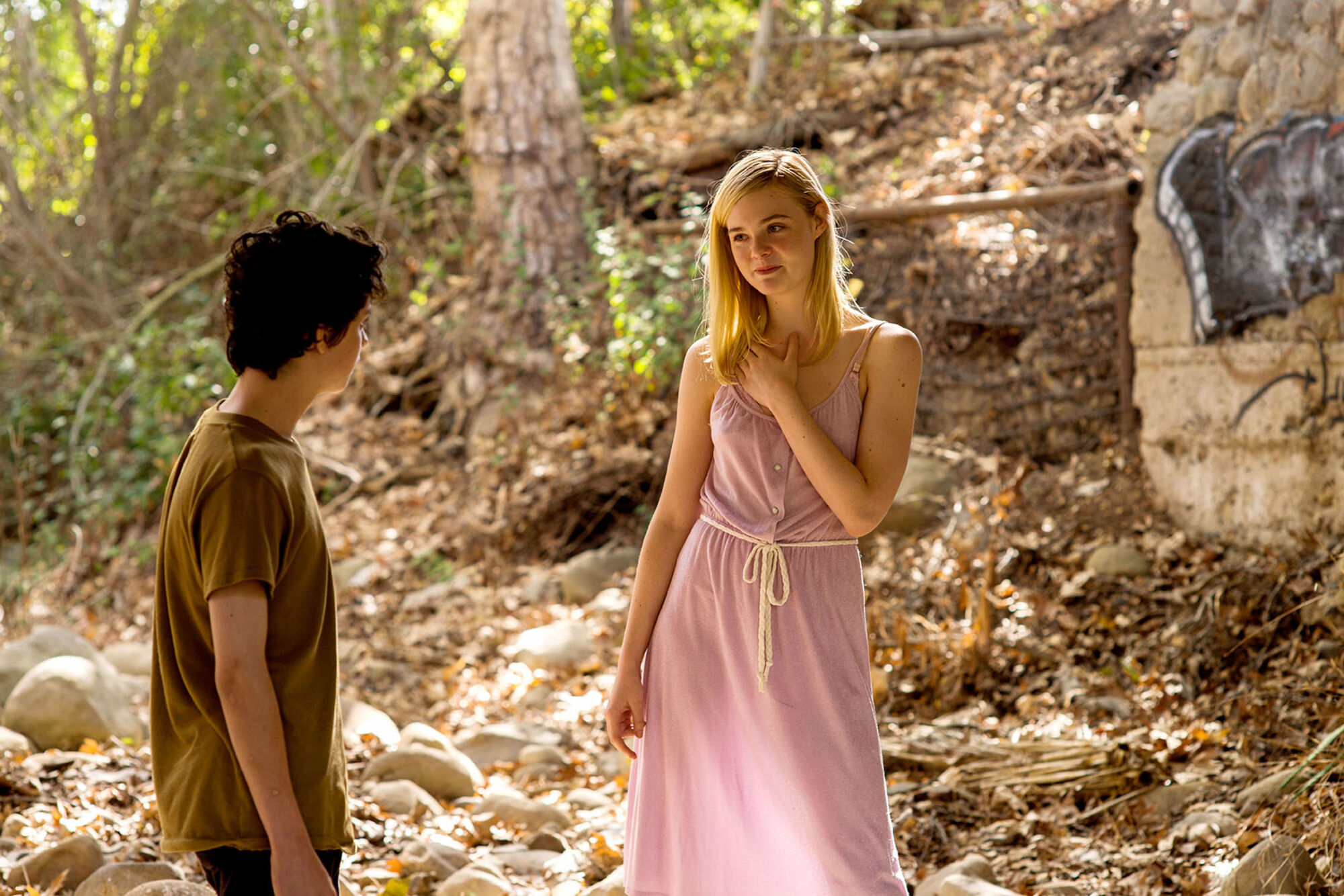 Scene Image 2