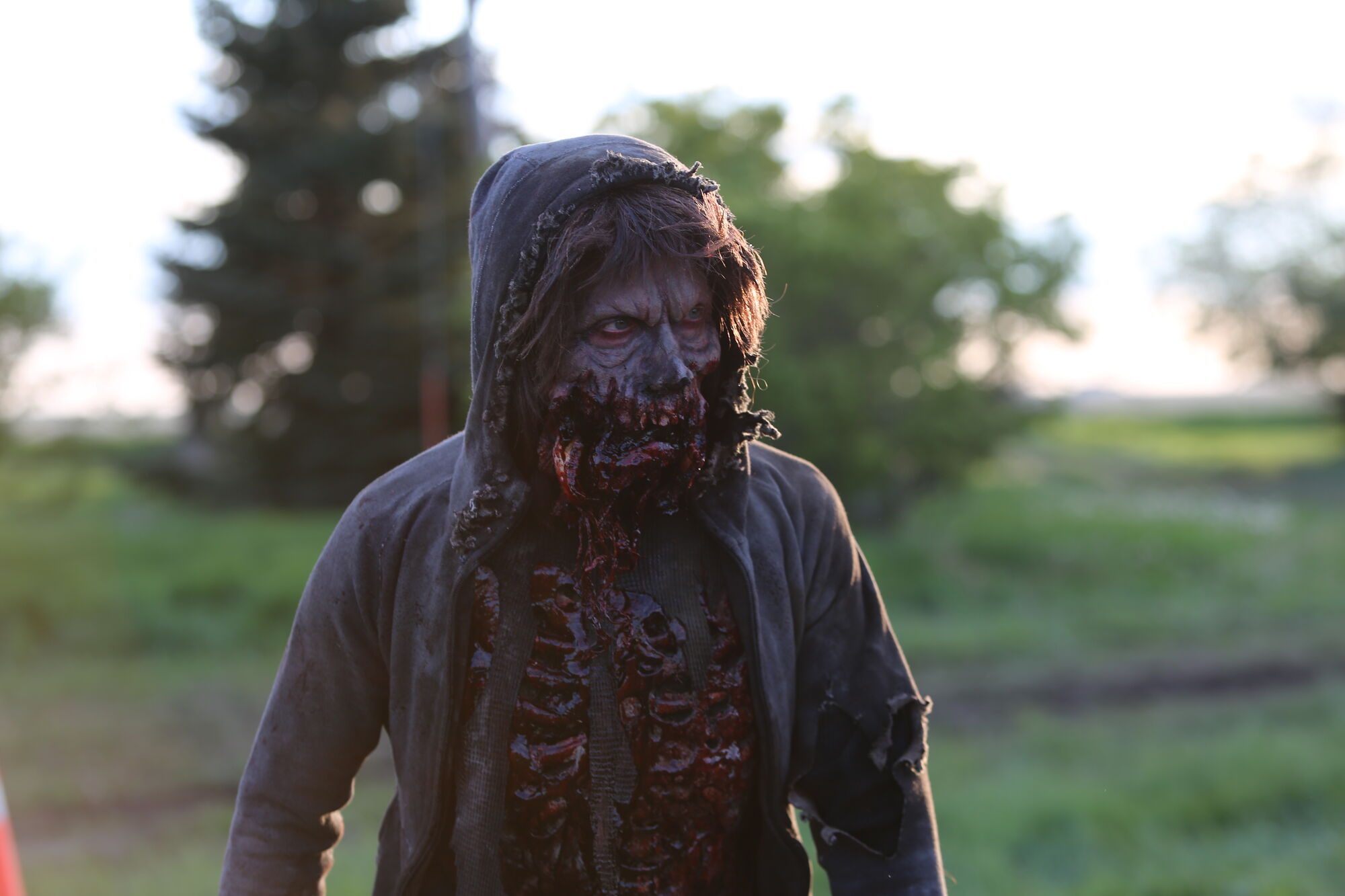 Scene Image 1