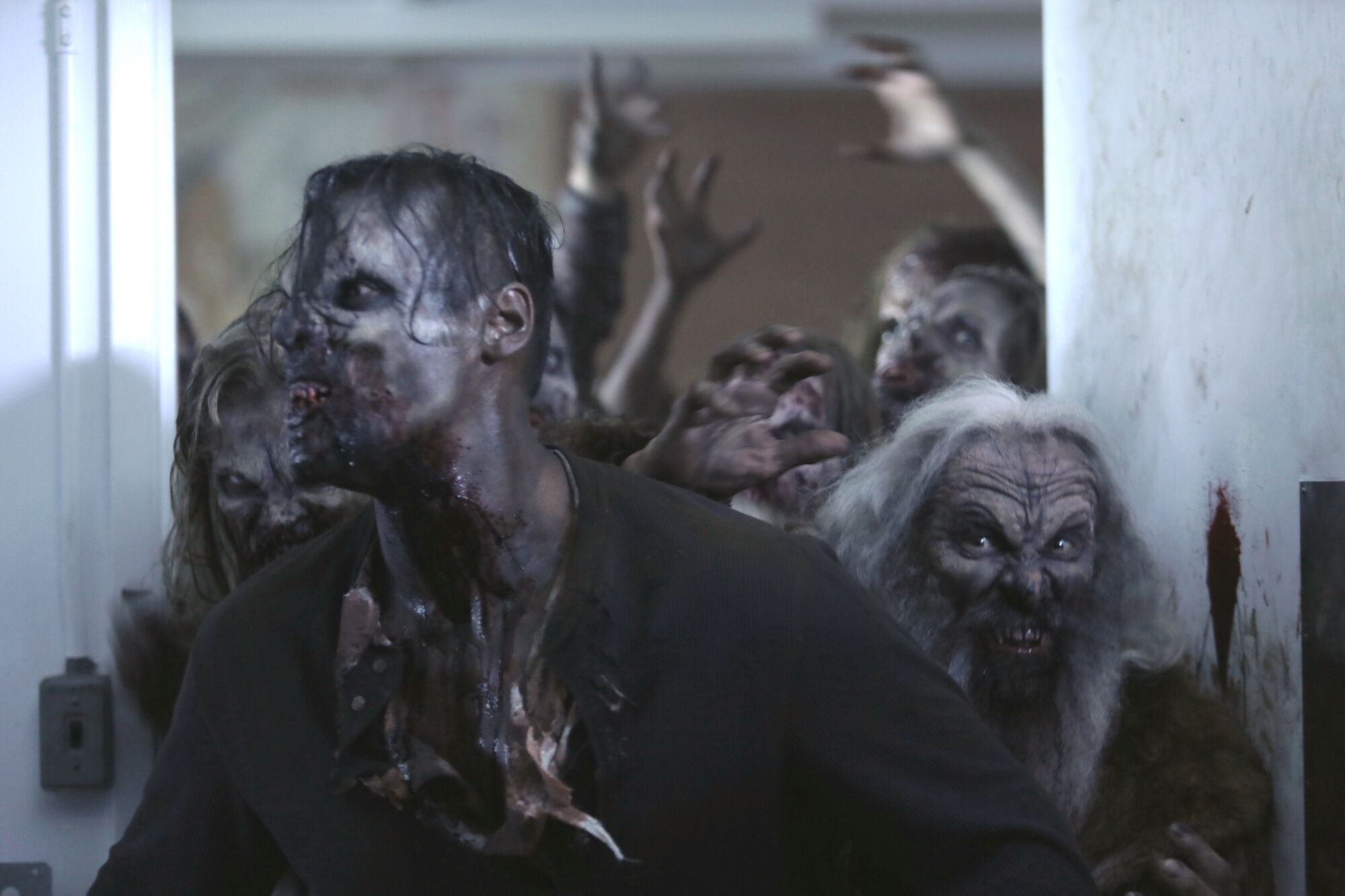 Scene Image 6