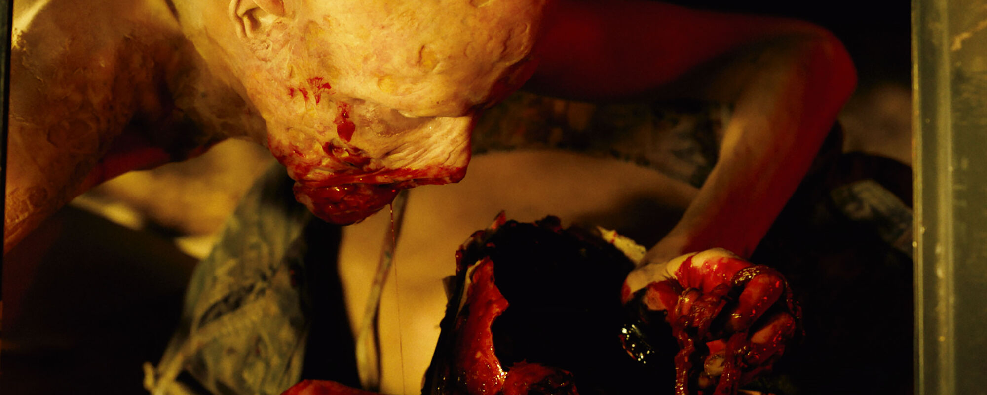 Scene Image 3