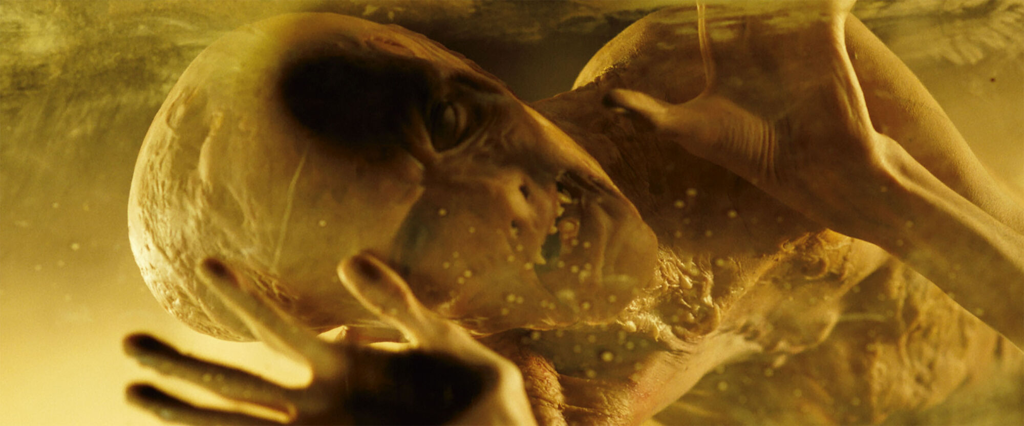 Scene Image 4