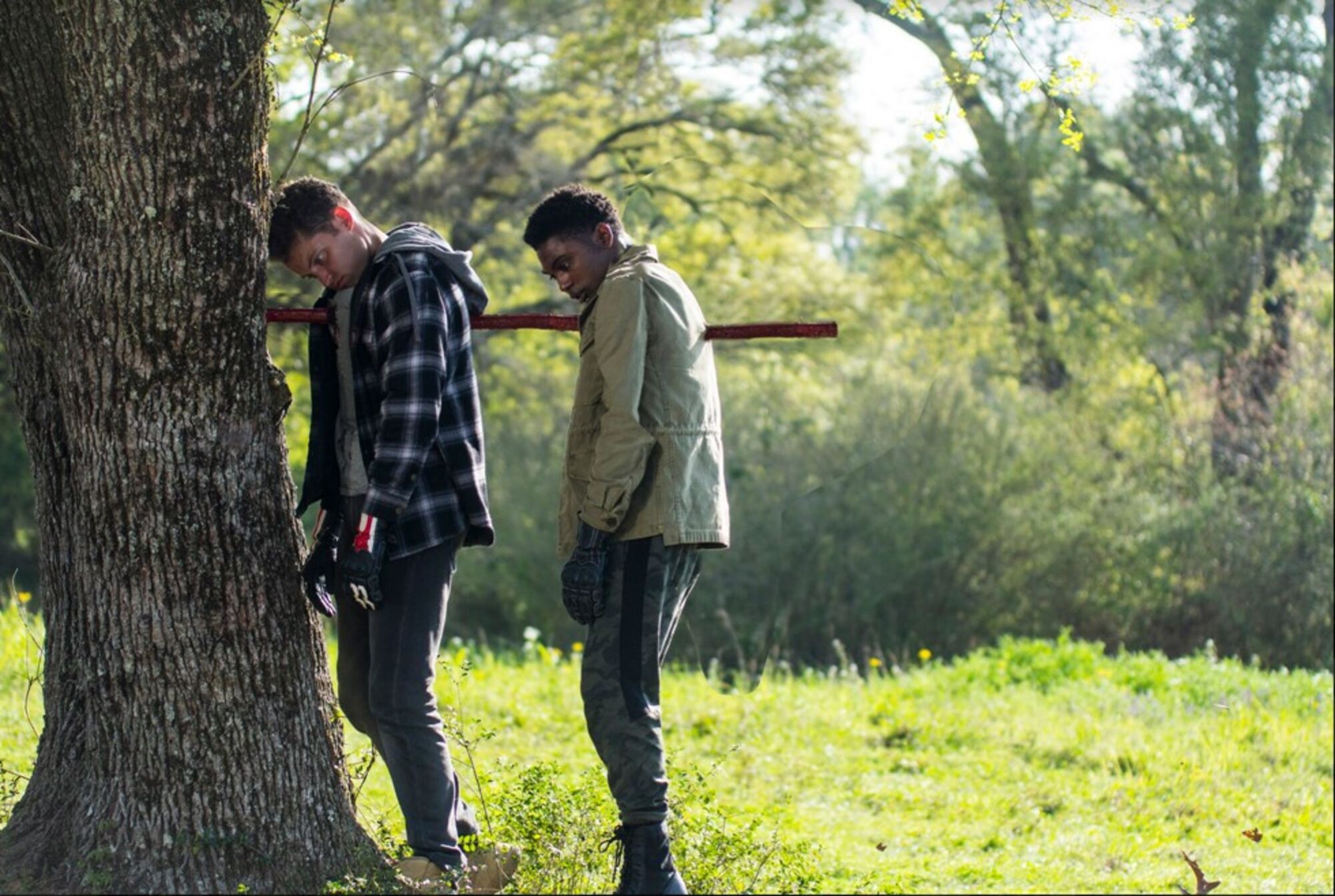 Scene Image 2