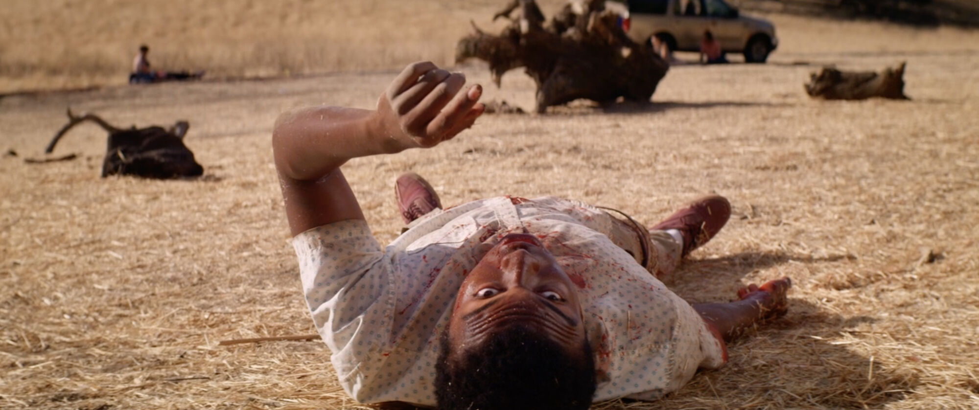 Scene Image 3