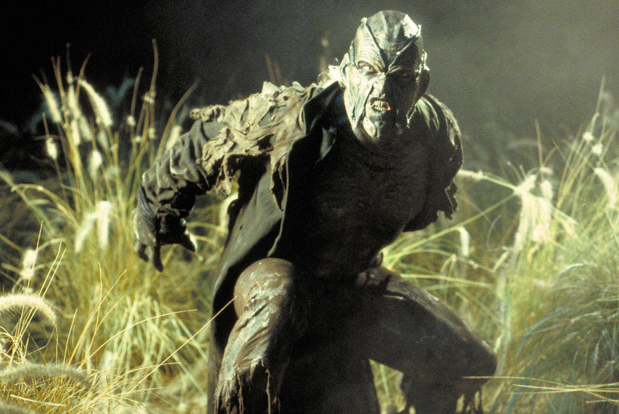 Scene Image 6