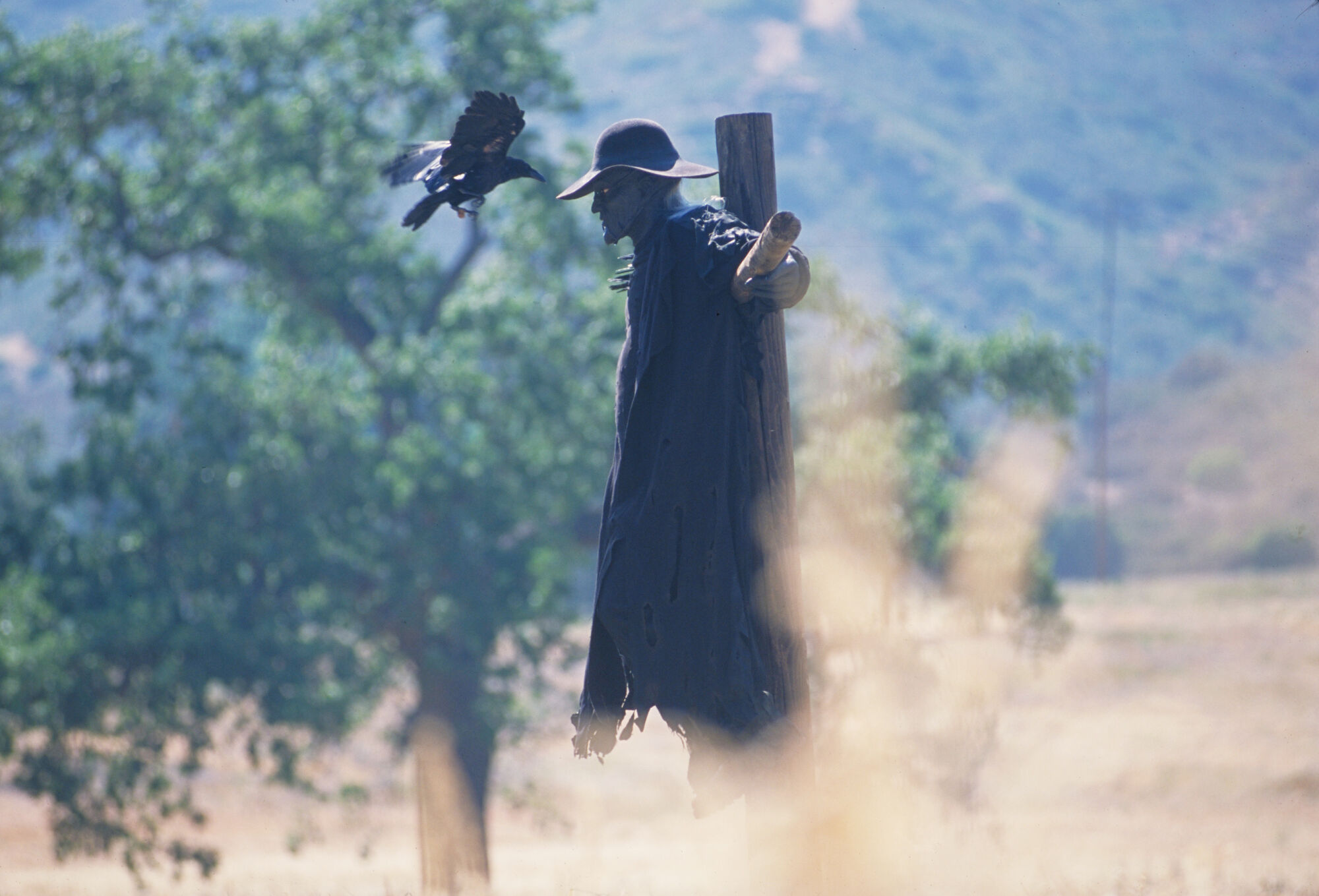 Scene Image 7