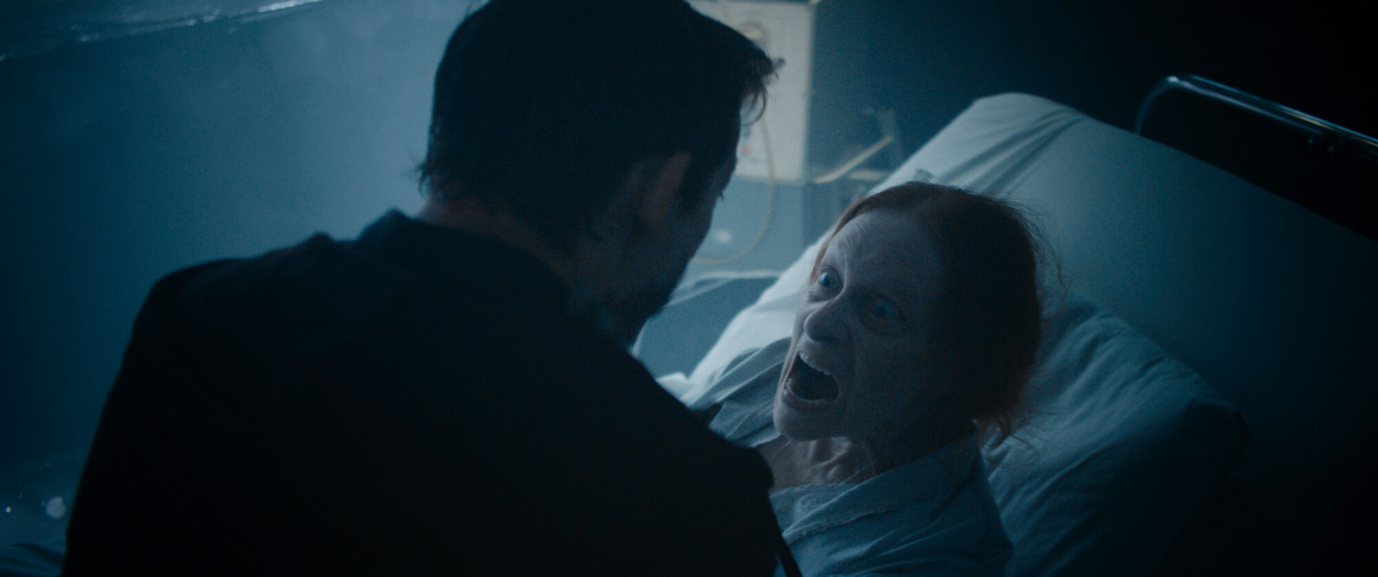 Scene Image 7