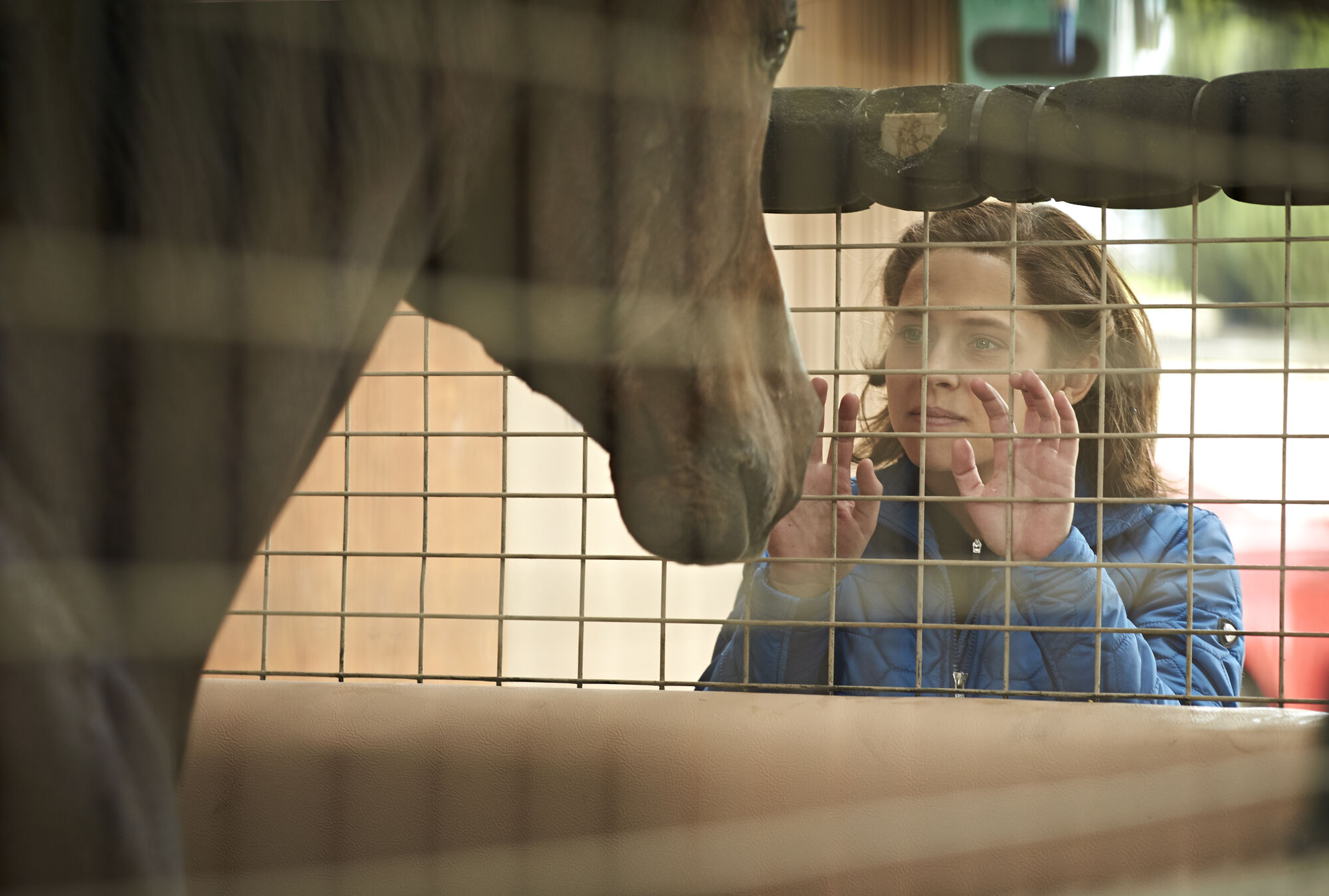 Scene Image 7